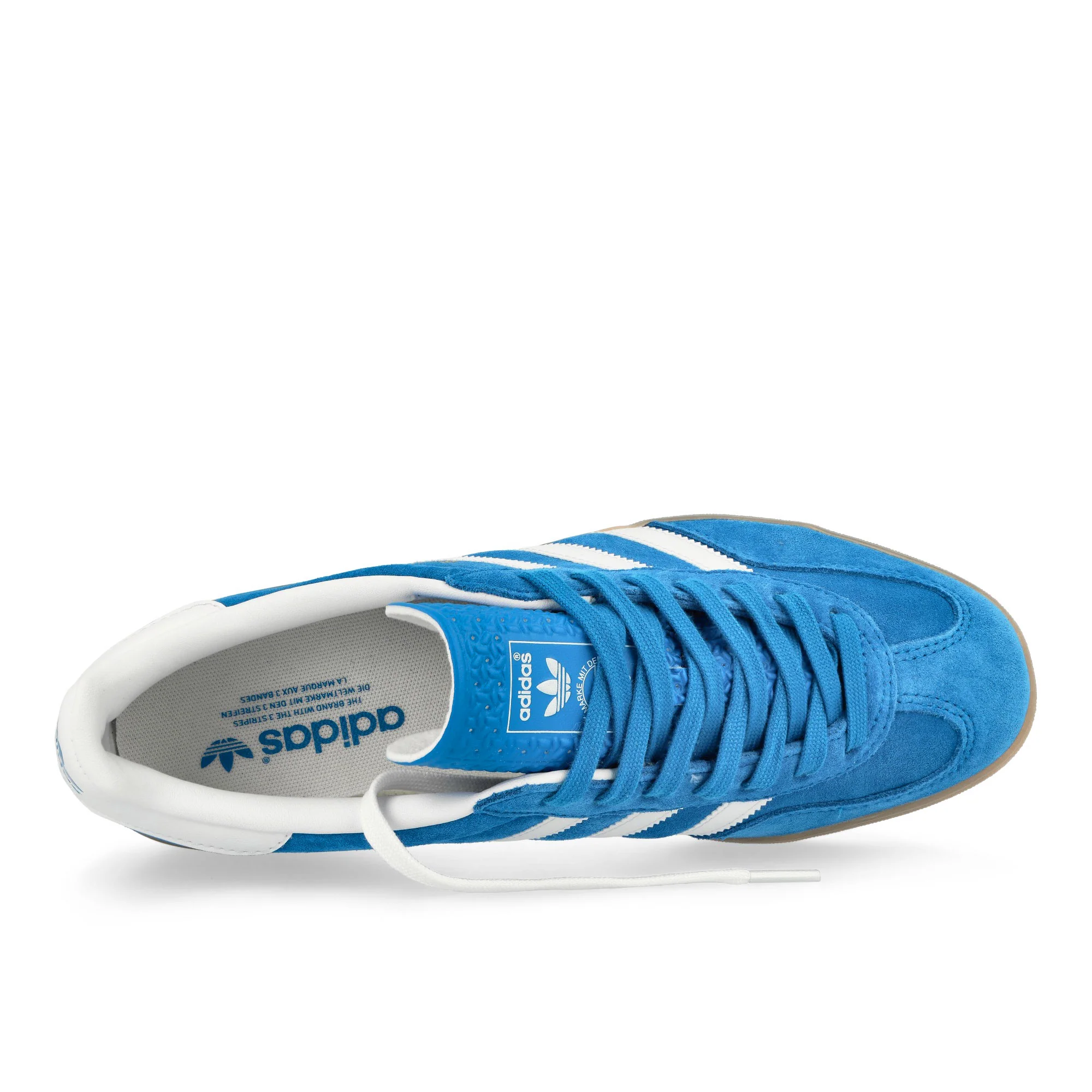 Gazelle Indoor - Image 5