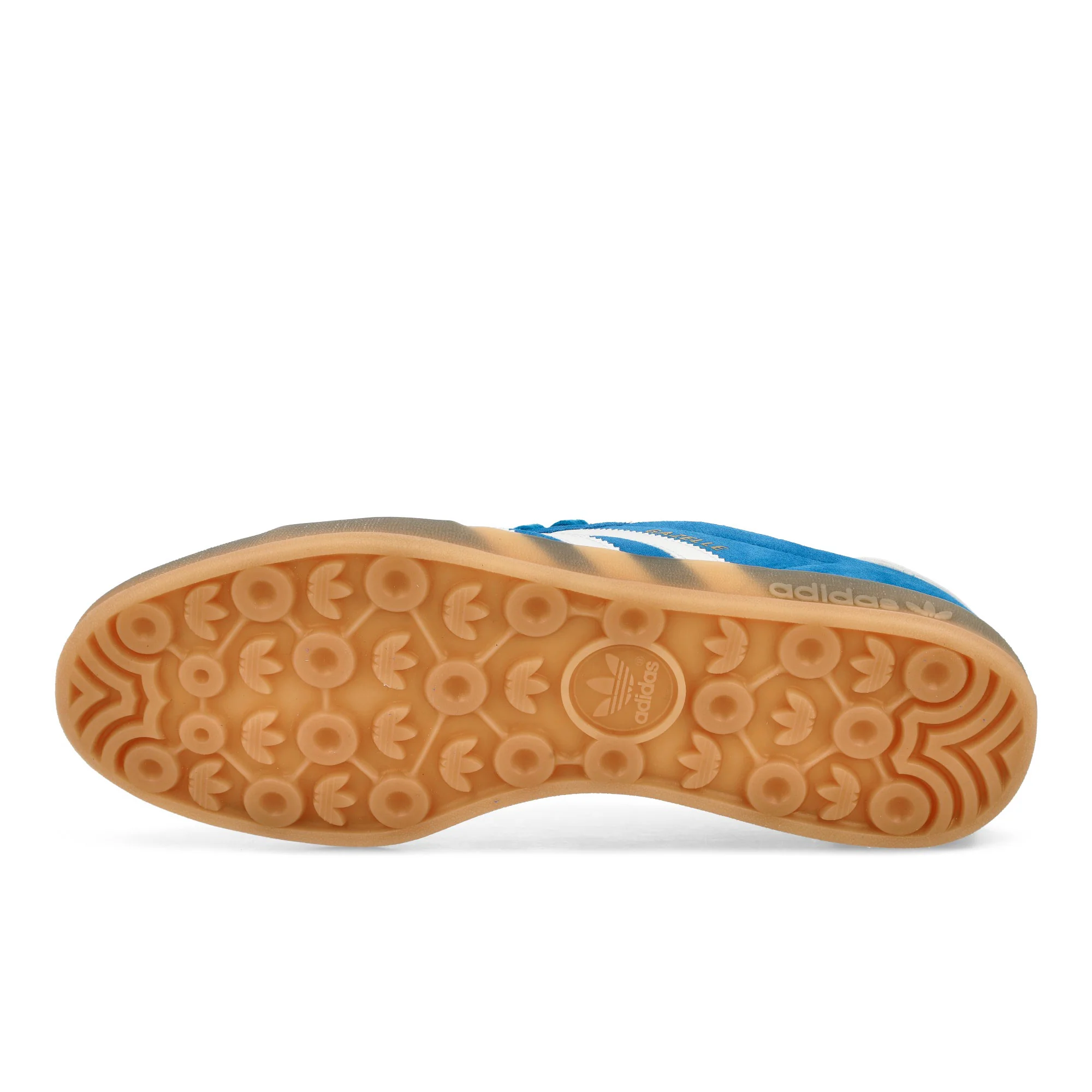 Gazelle Indoor - Image 6