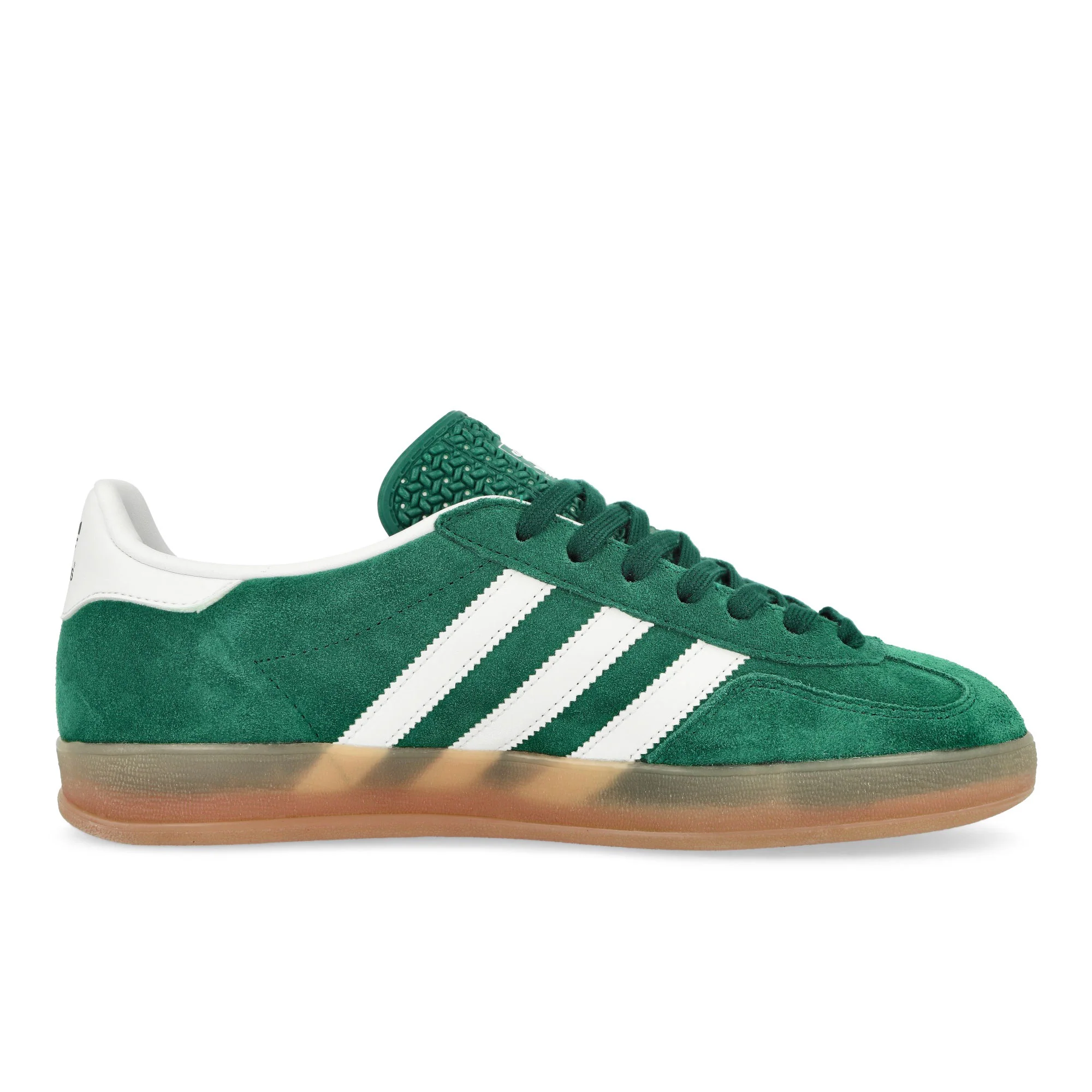 Gazelle Indoor - Image 2