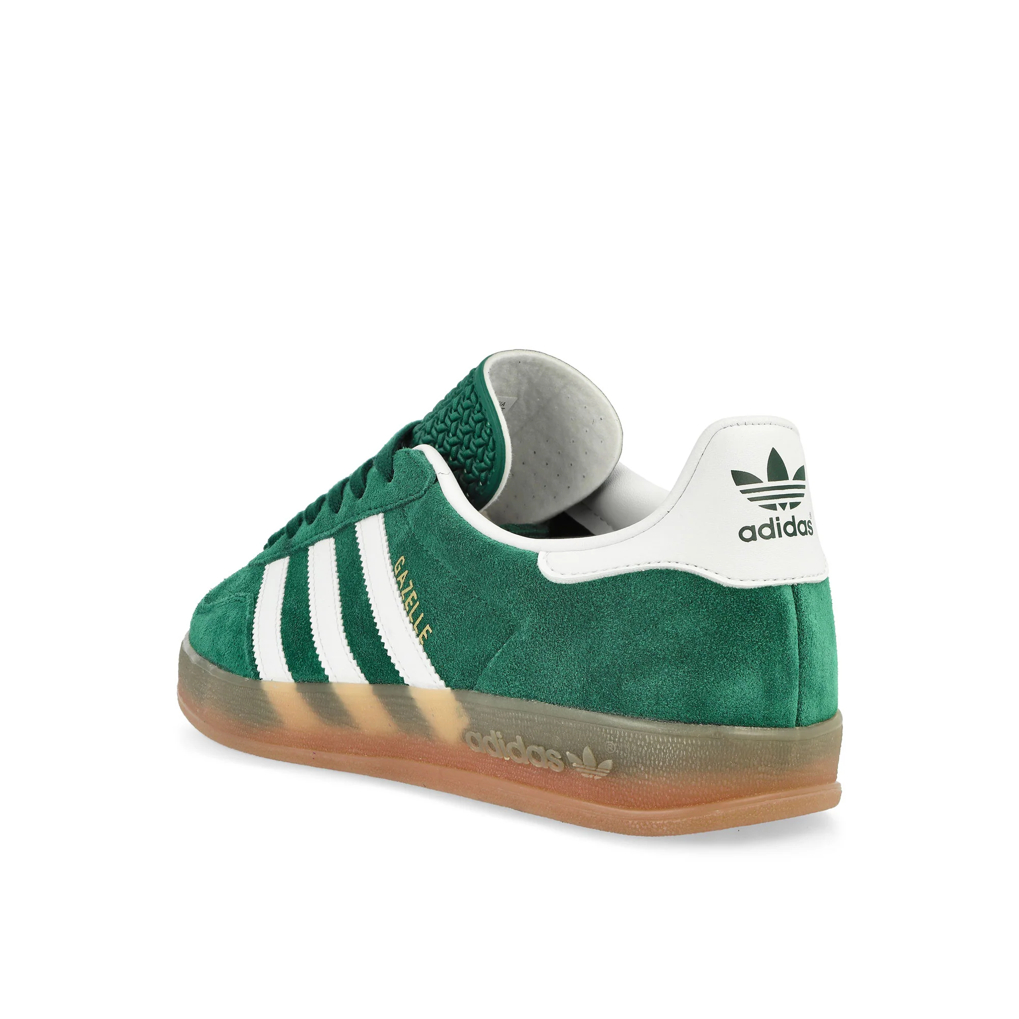 Gazelle Indoor - Image 3