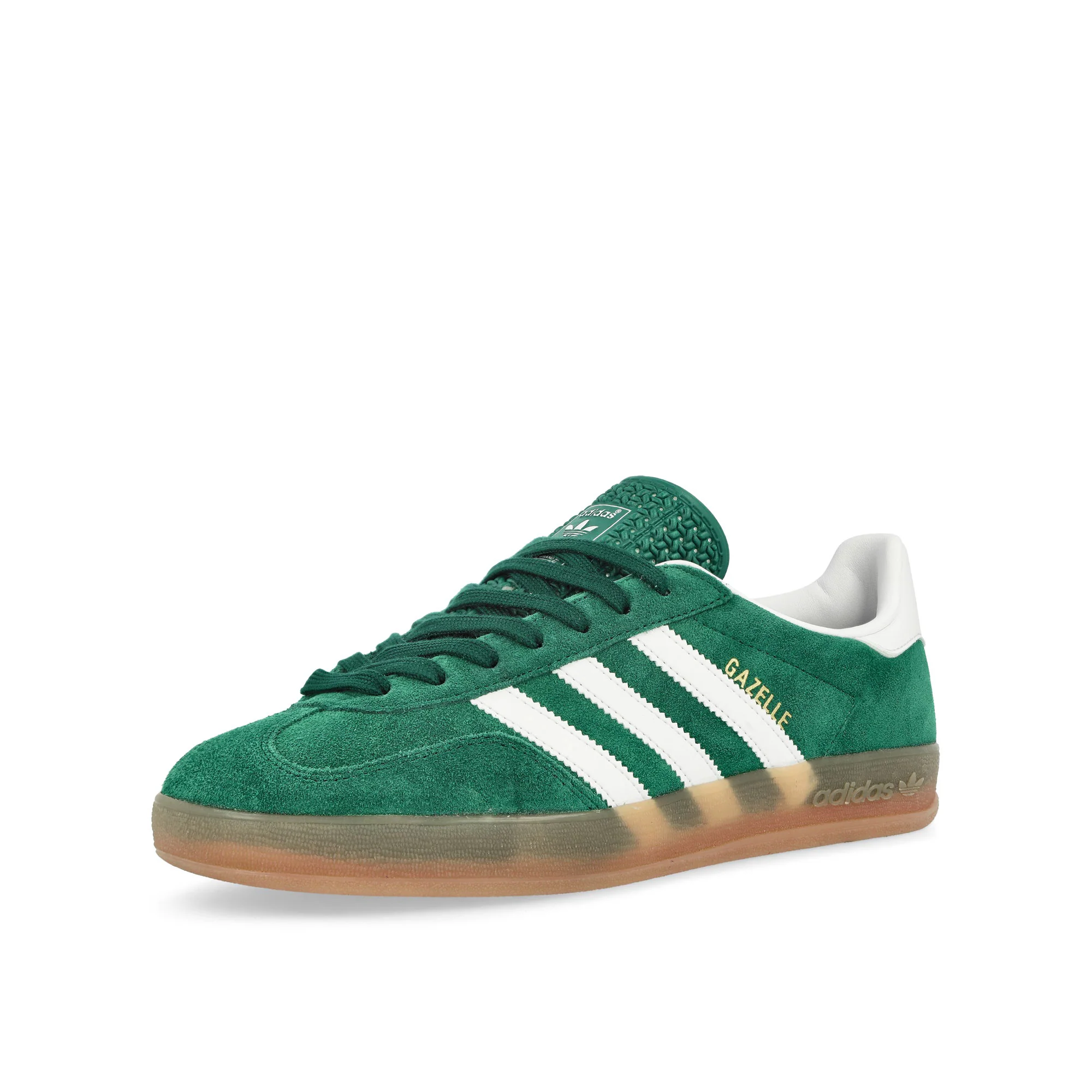 Gazelle Indoor - Image 4