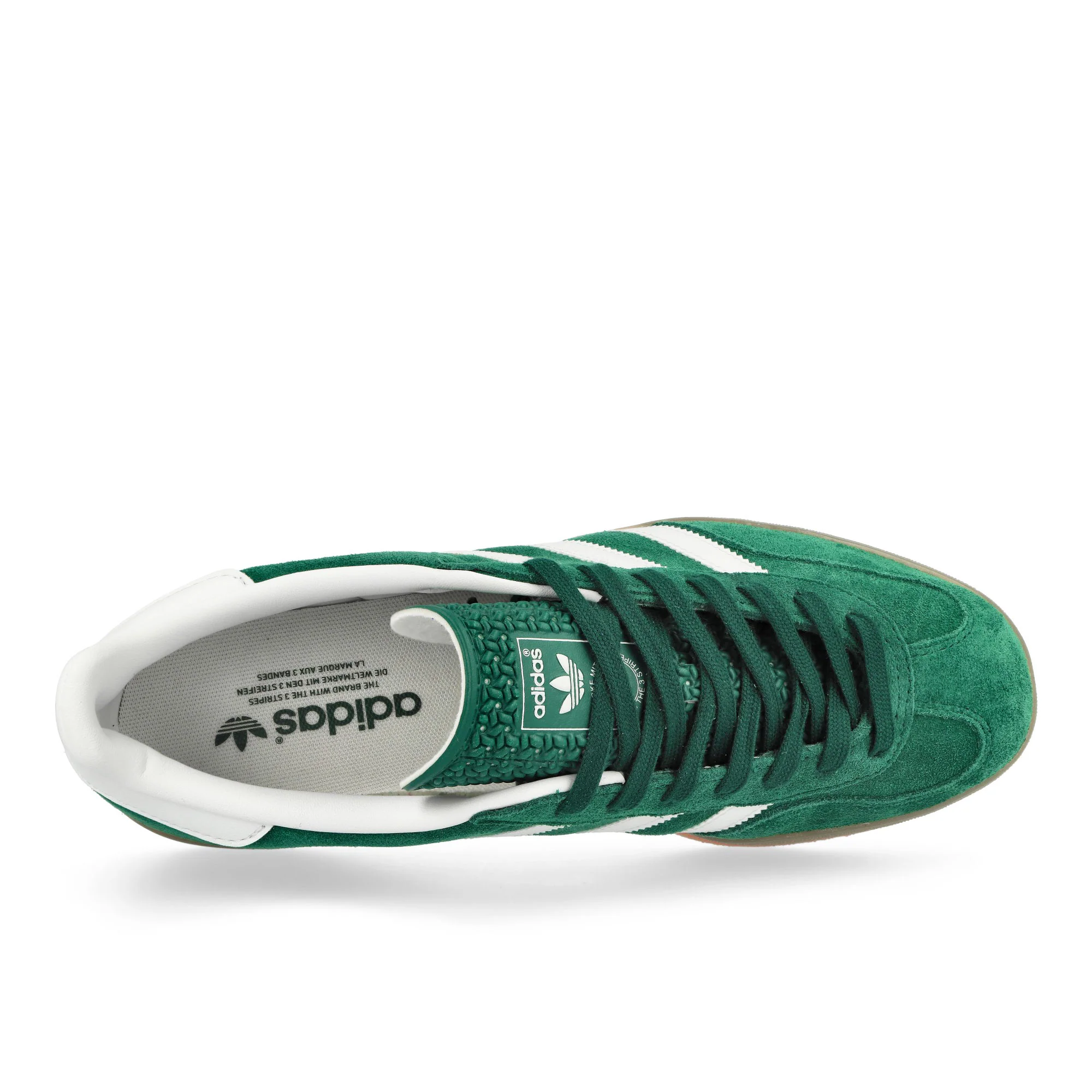 Gazelle Indoor - Image 5