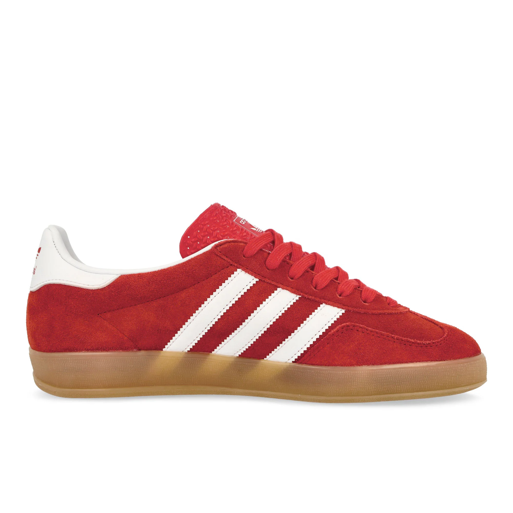 Gazelle Indoor - Image 2