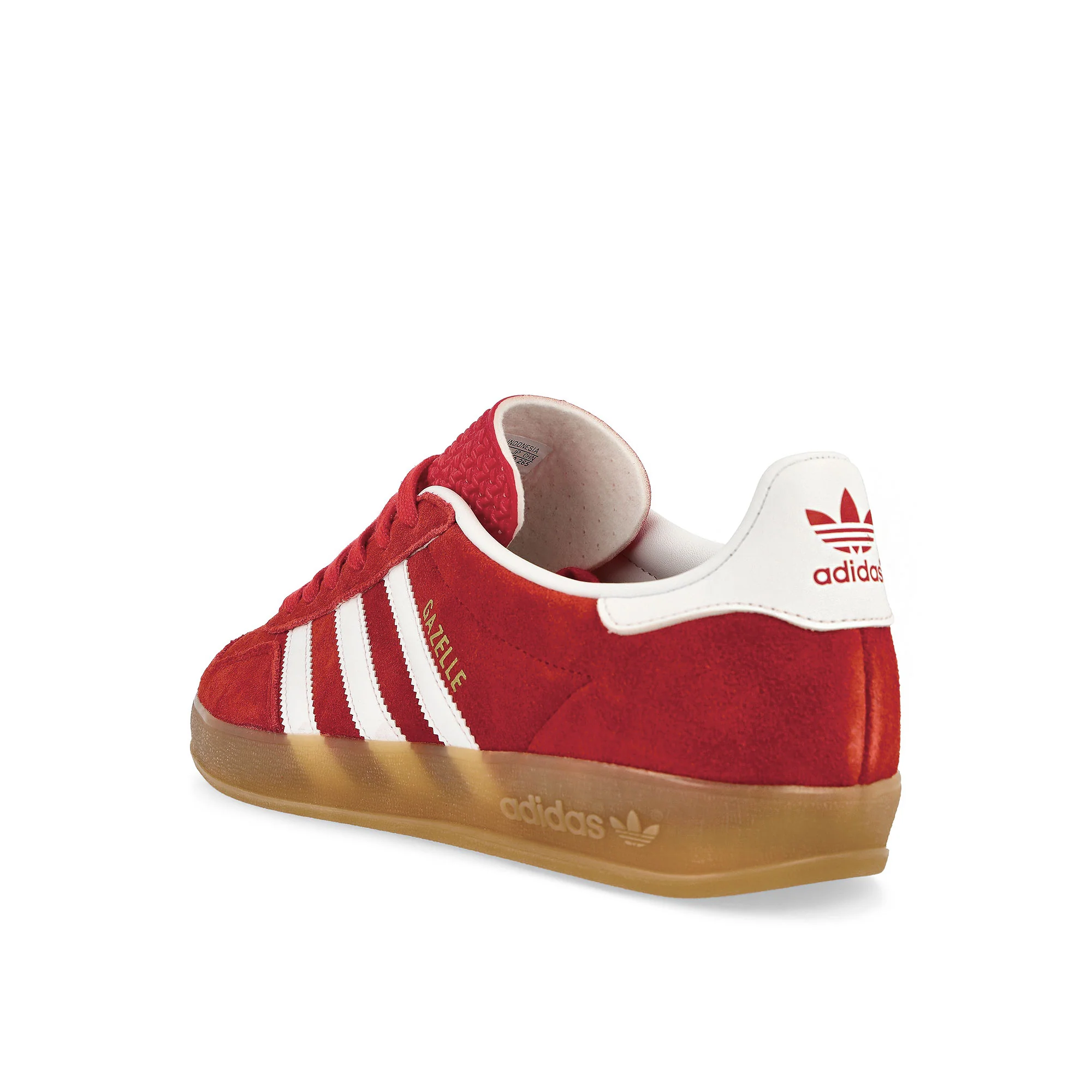 Gazelle Indoor - Image 3