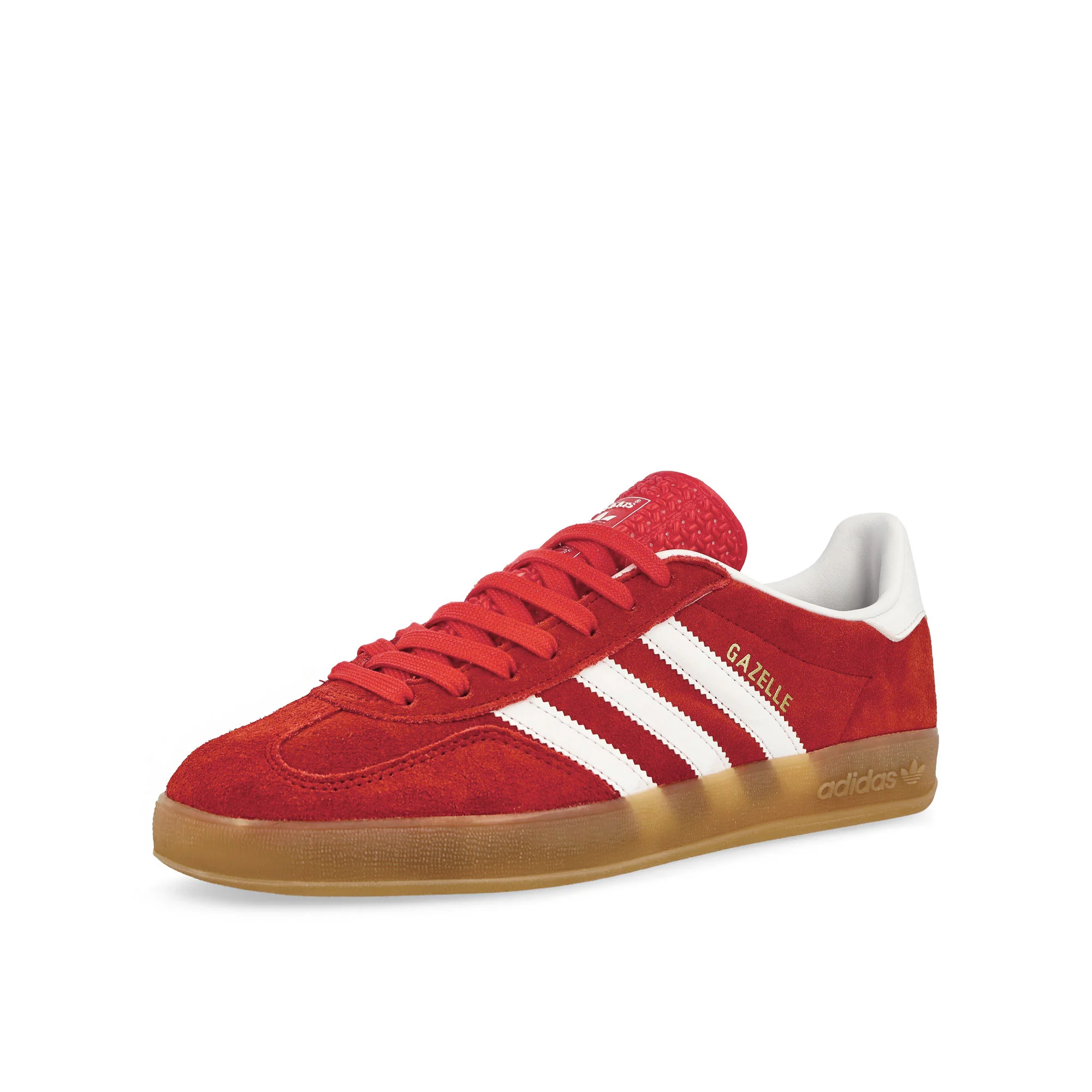 Gazelle Indoor - Image 4