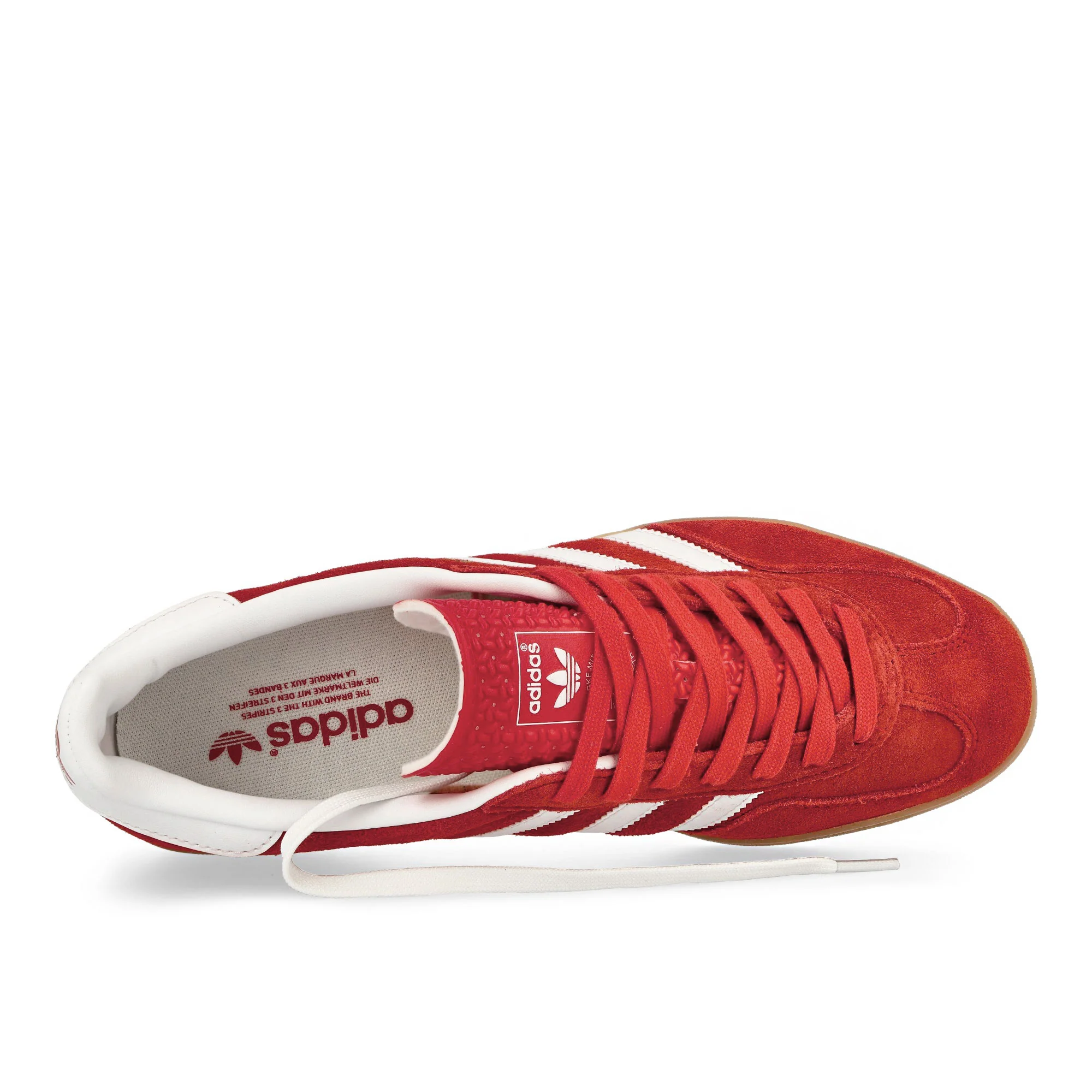 Gazelle Indoor - Image 5