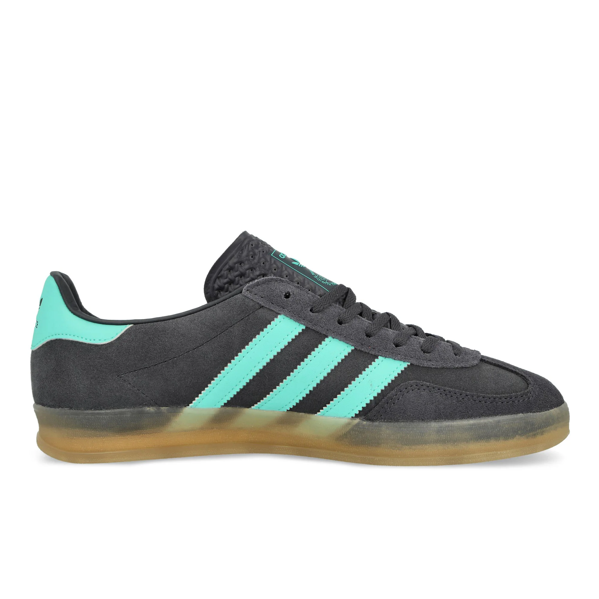 Gazelle Indoor - Image 2