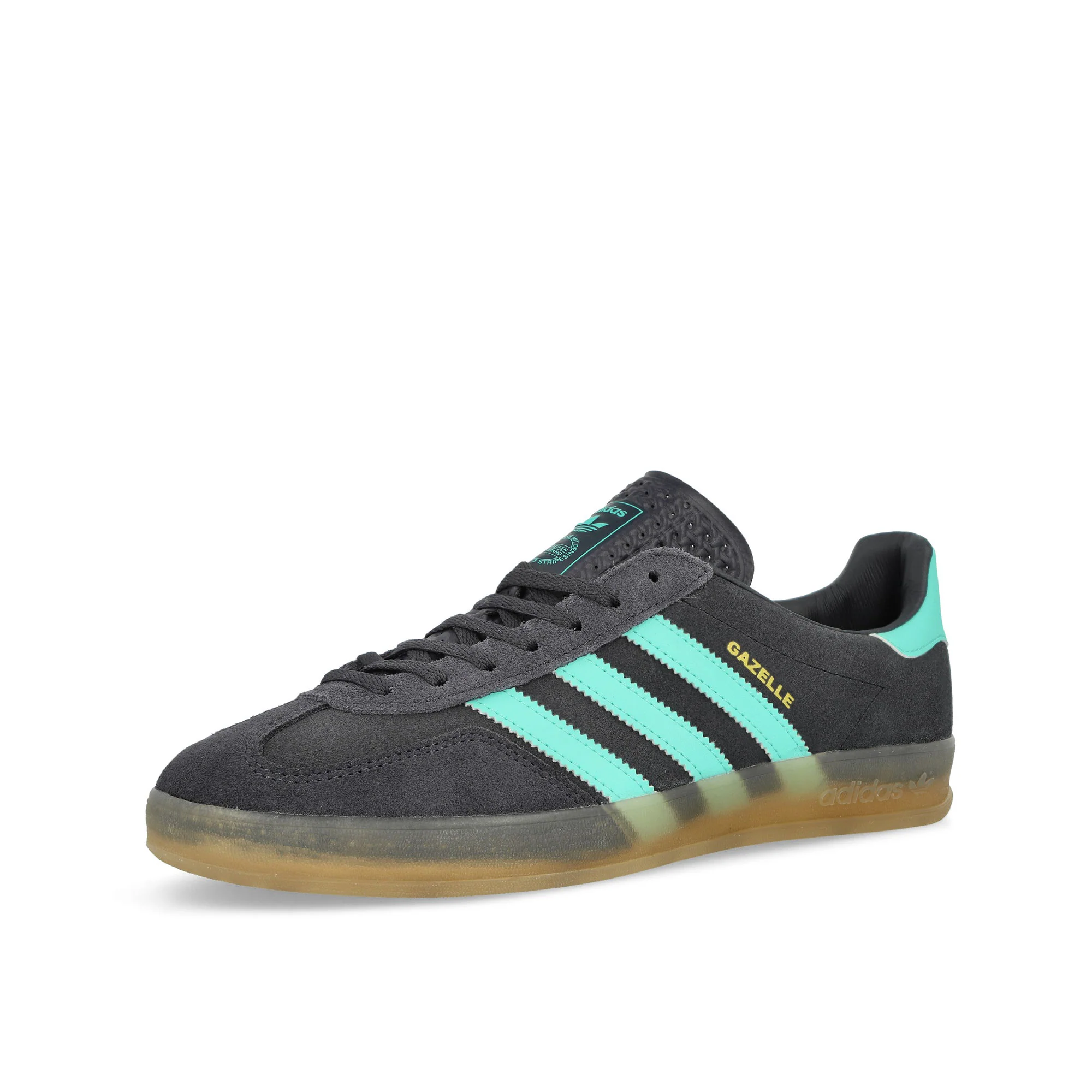 Gazelle Indoor - Image 4