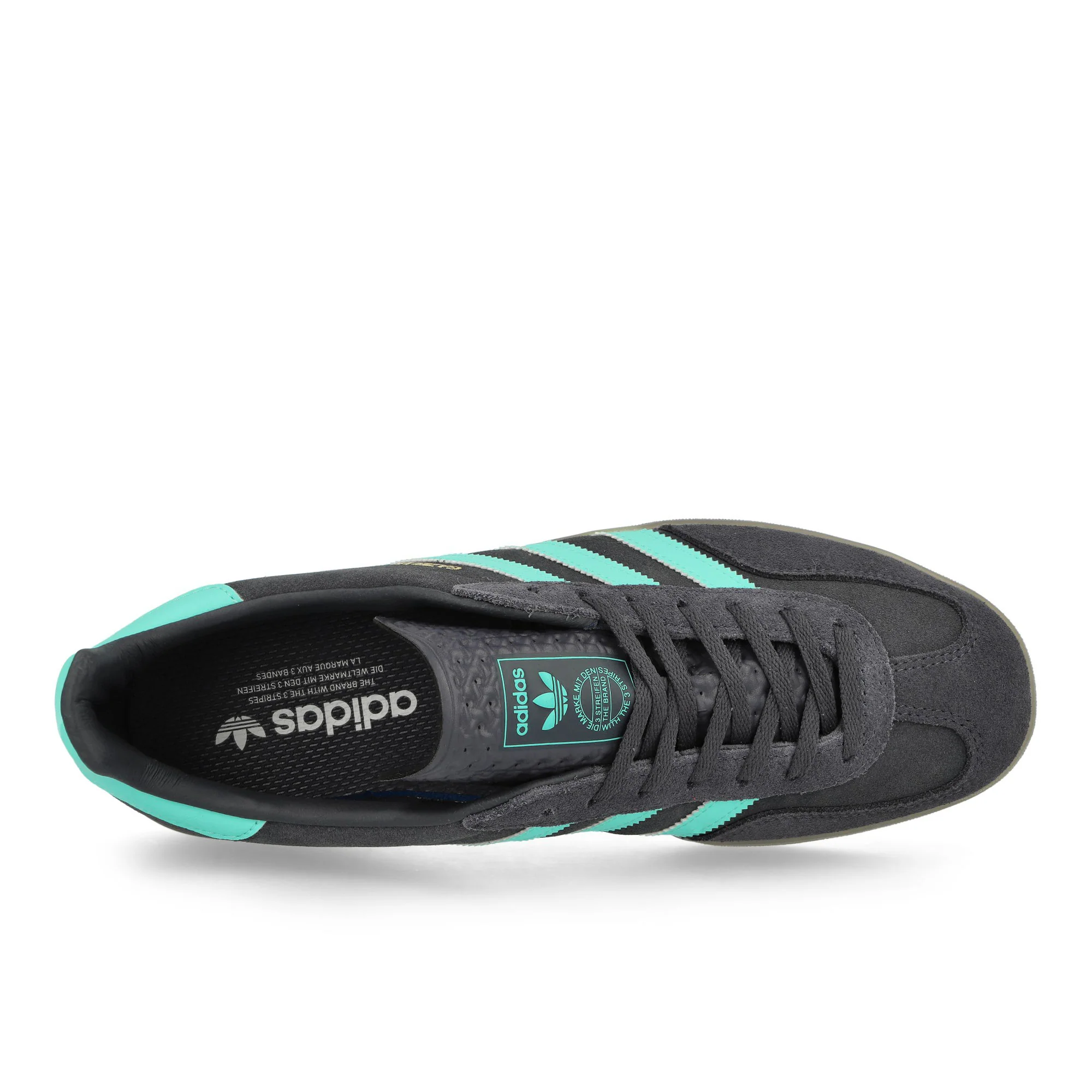 Gazelle Indoor - Image 5