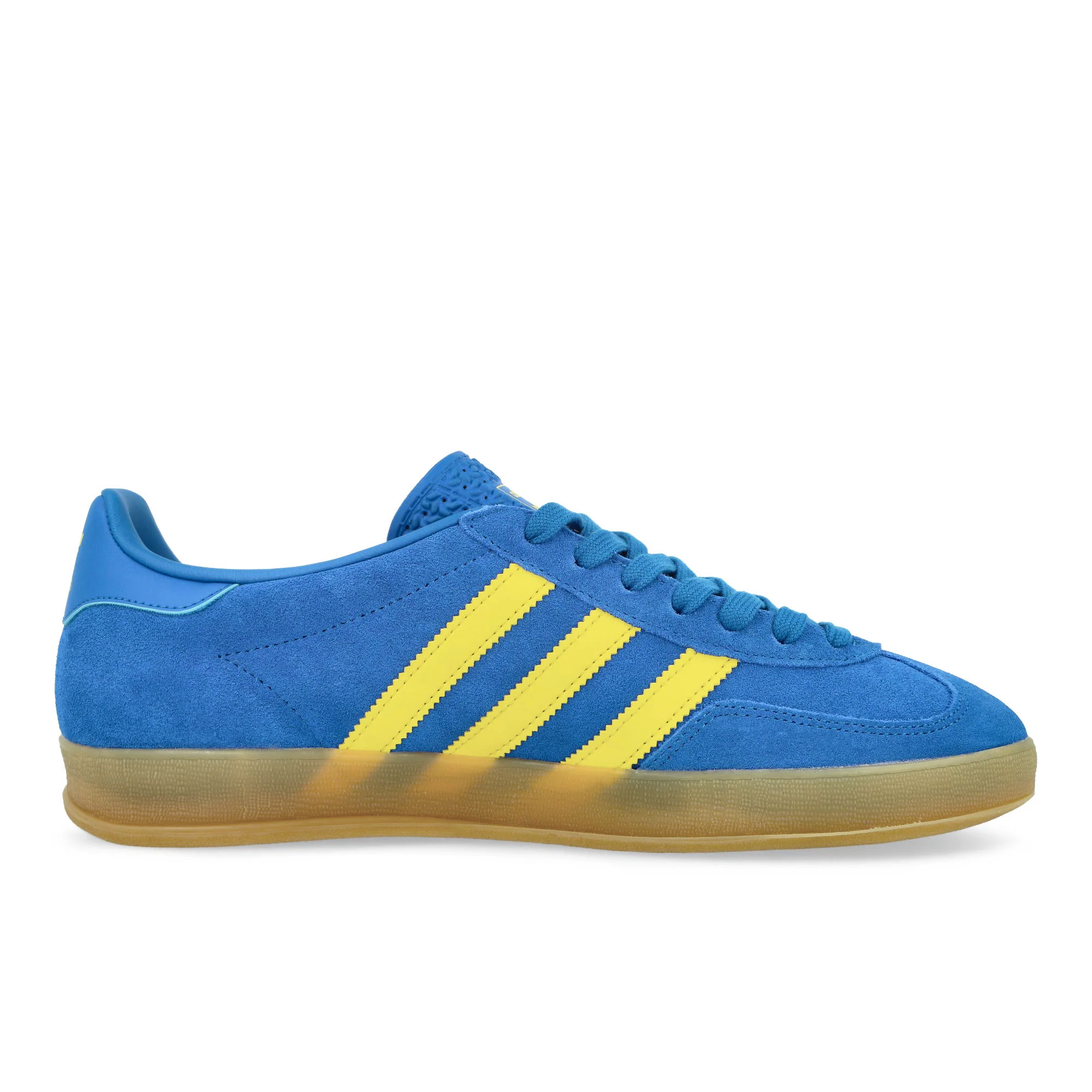 Gazelle Indoor - Image 2
