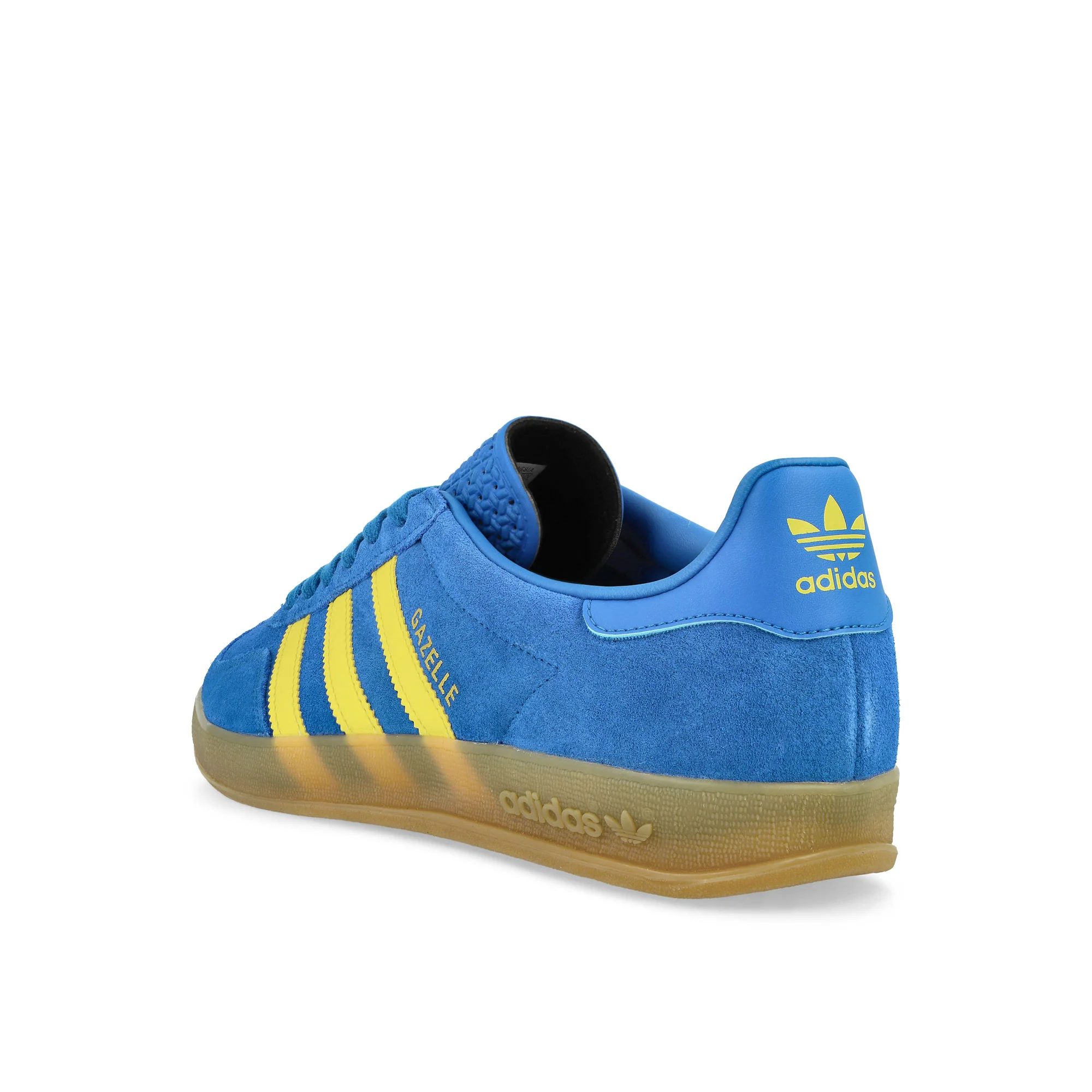 Gazelle Indoor - Image 3