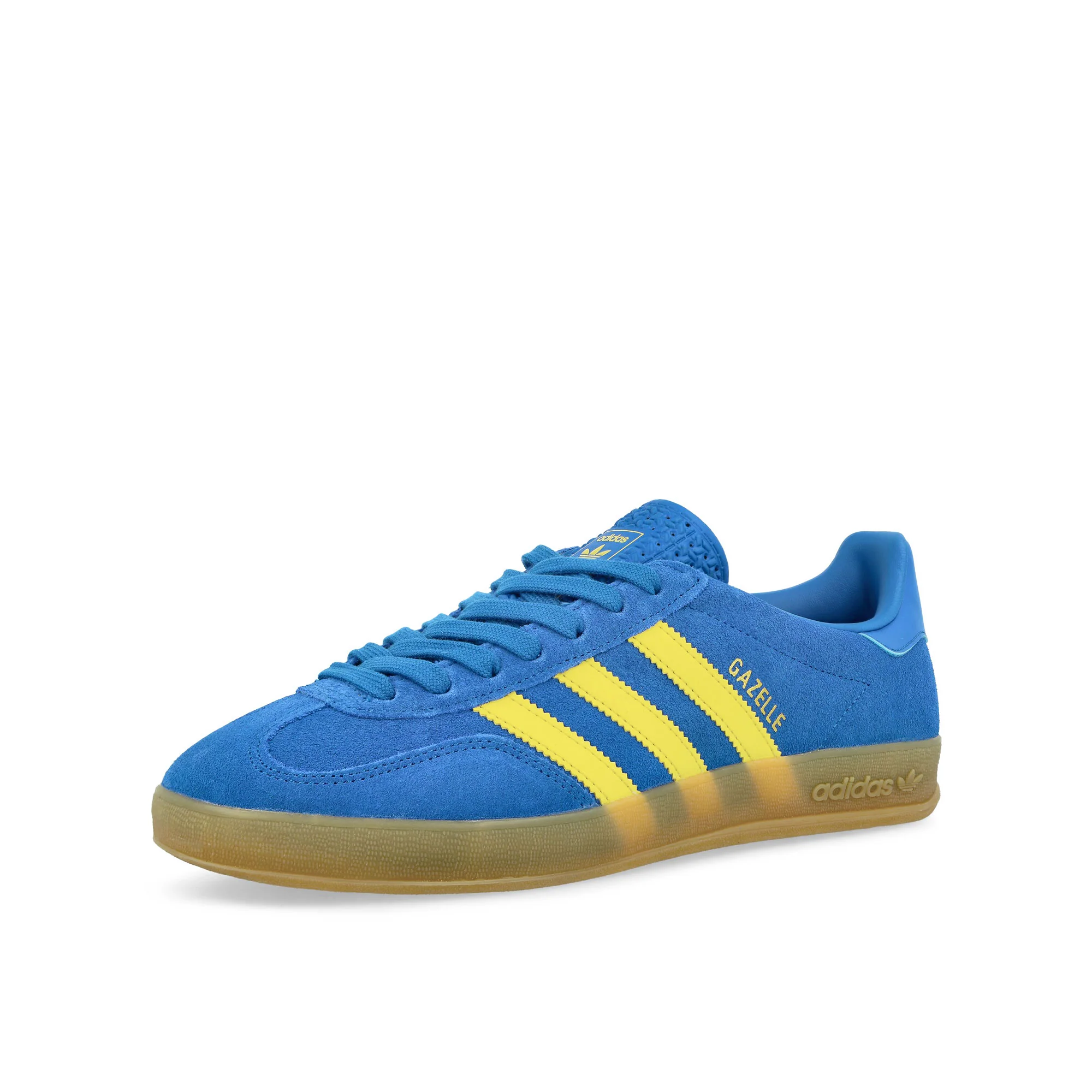 Gazelle Indoor - Image 4