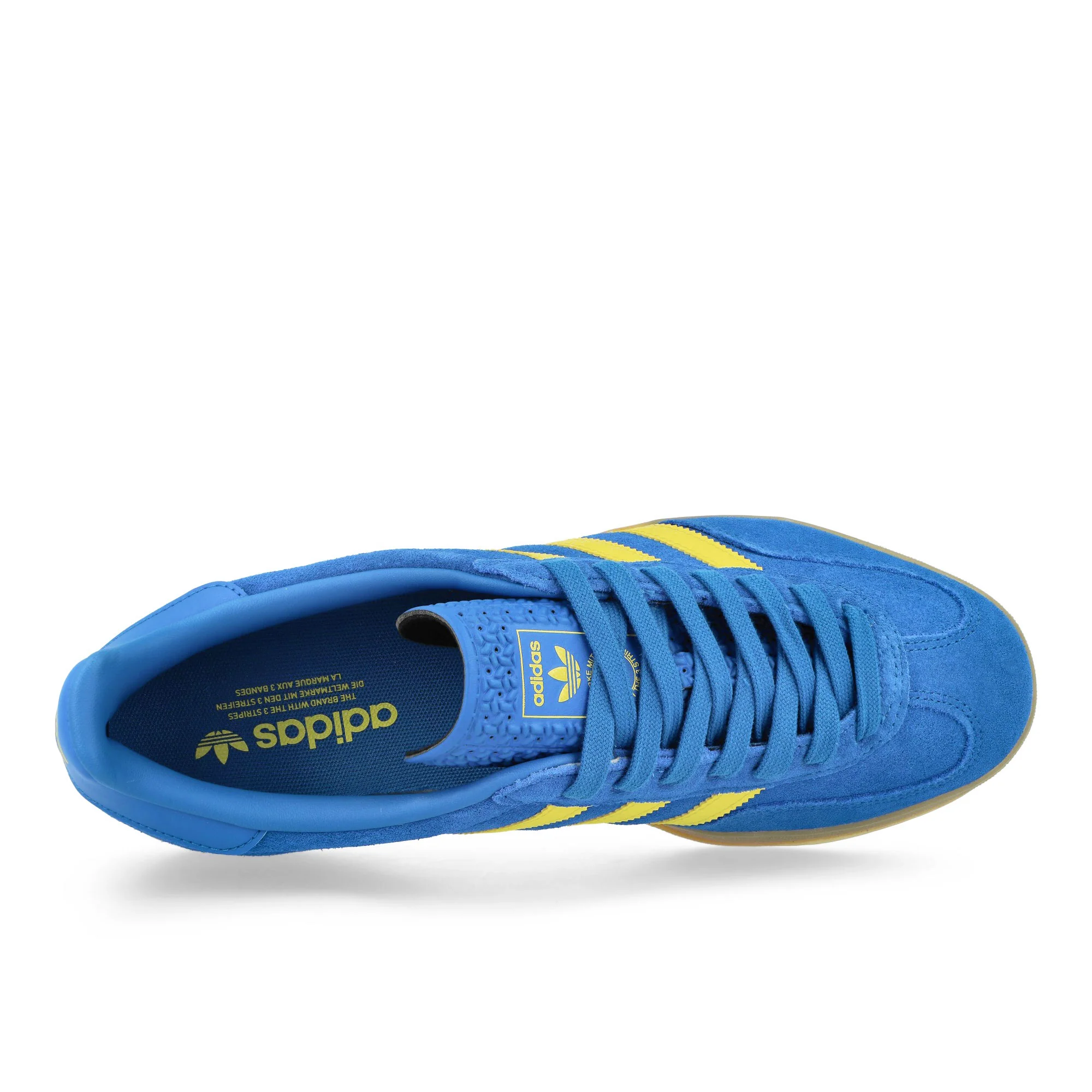 Gazelle Indoor - Image 5