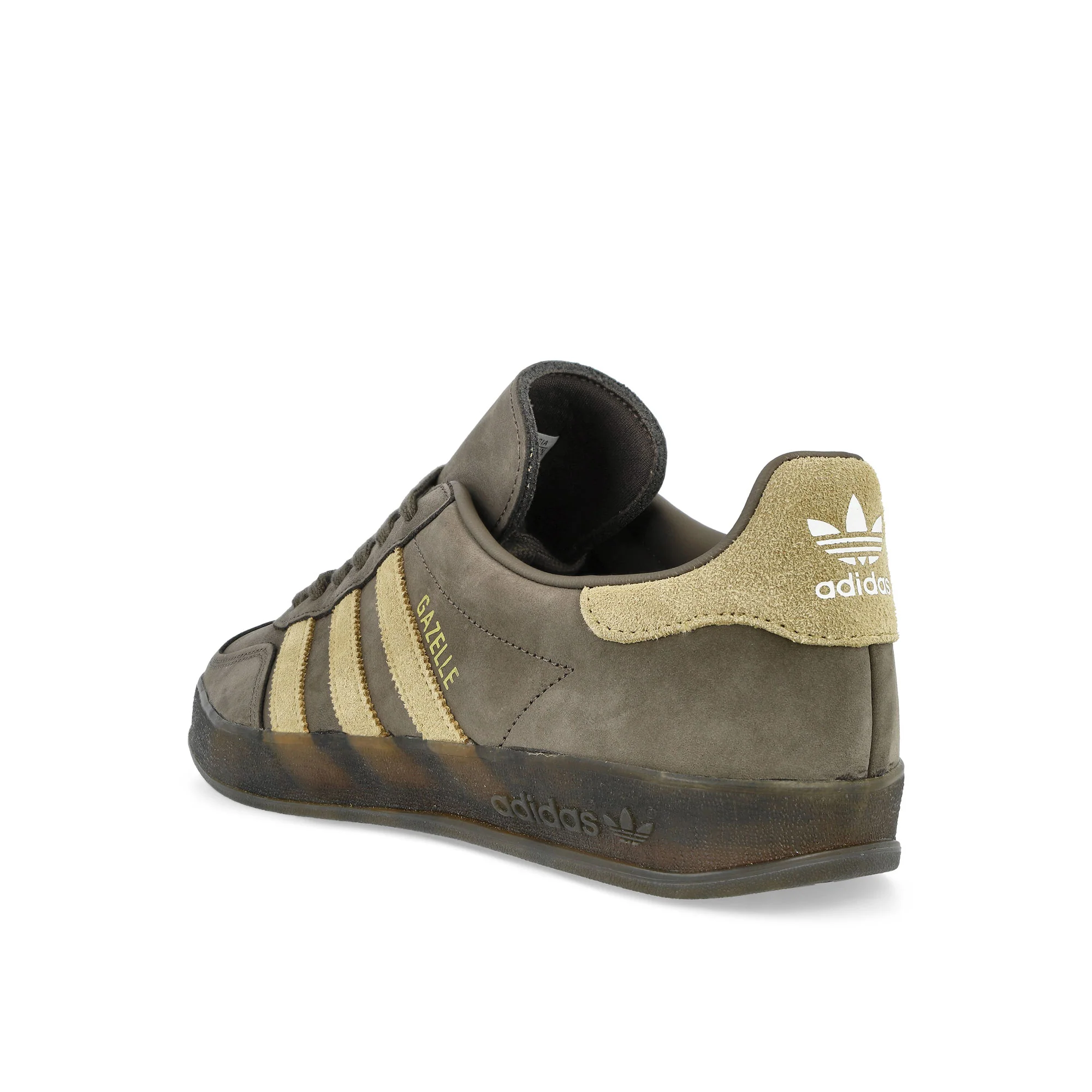 Gazelle Indoor - Image 3