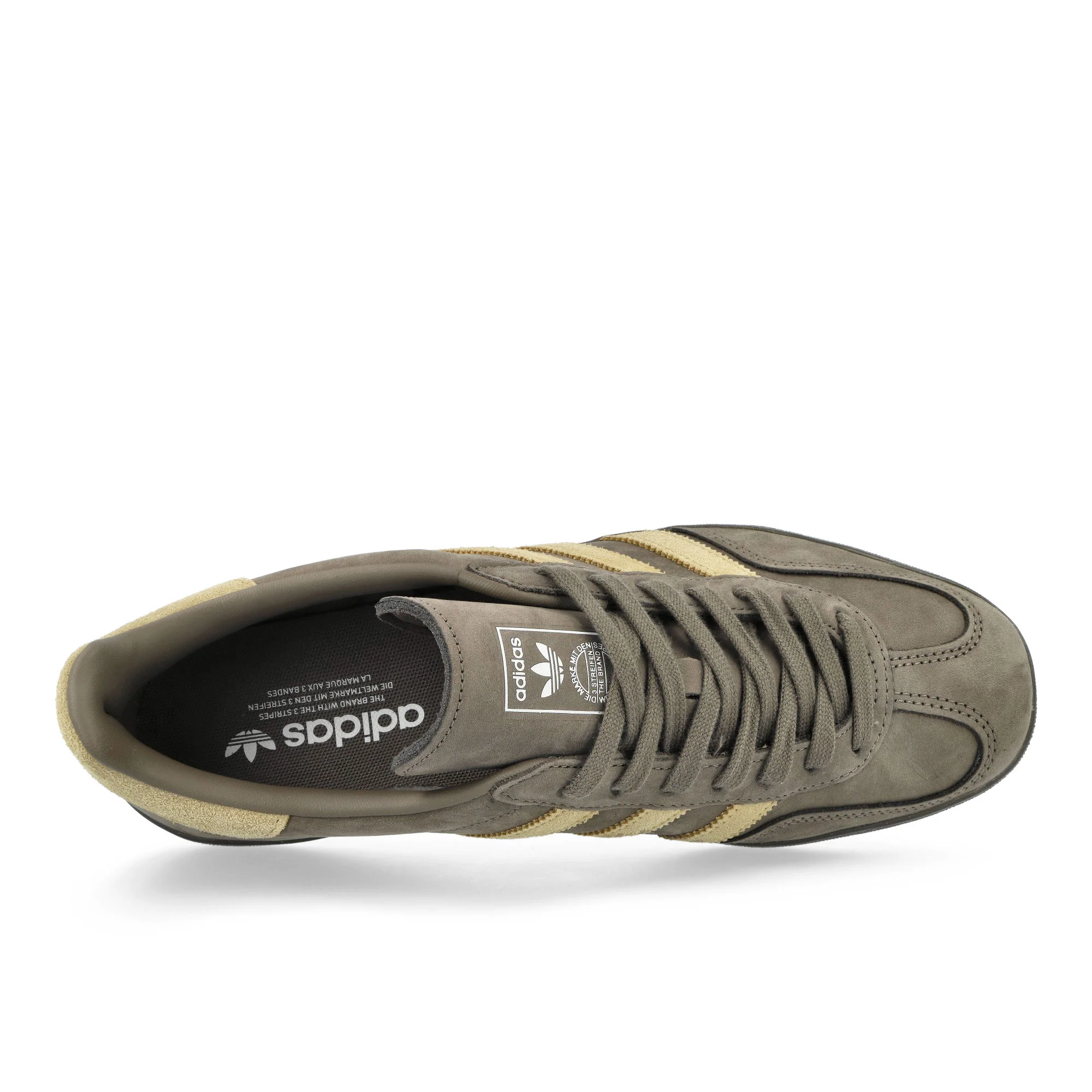 Gazelle Indoor - Image 5
