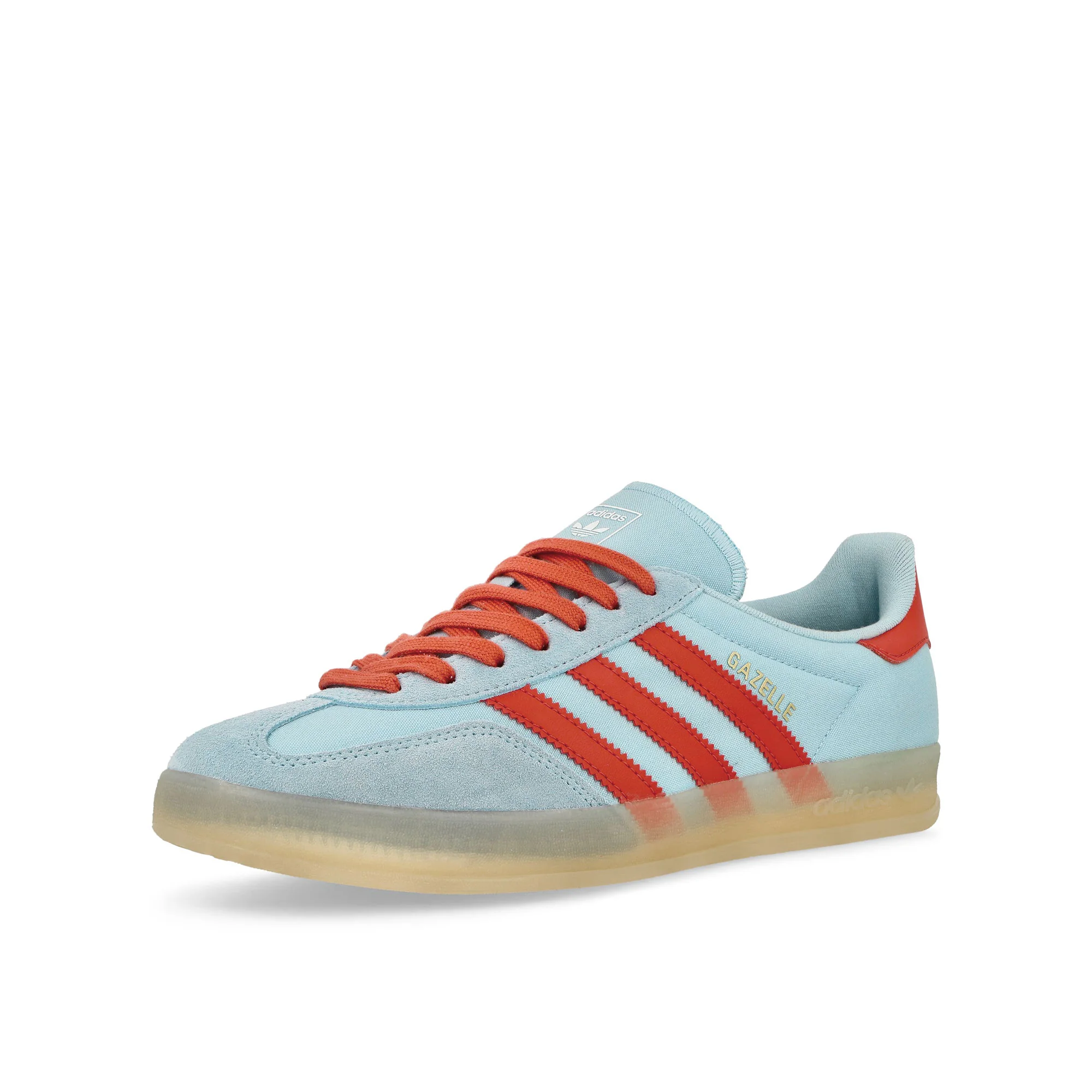 Gazelle Indoor - Image 4