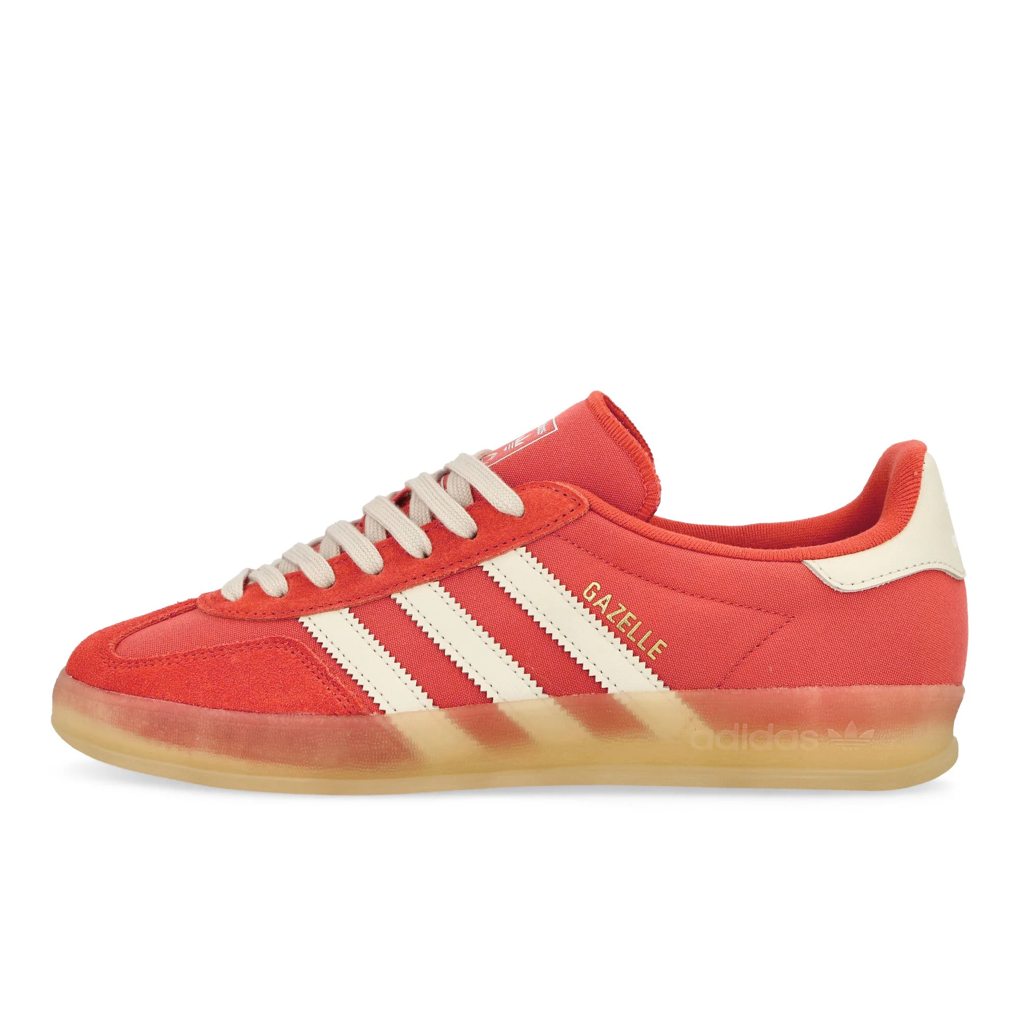Gazelle Indoor