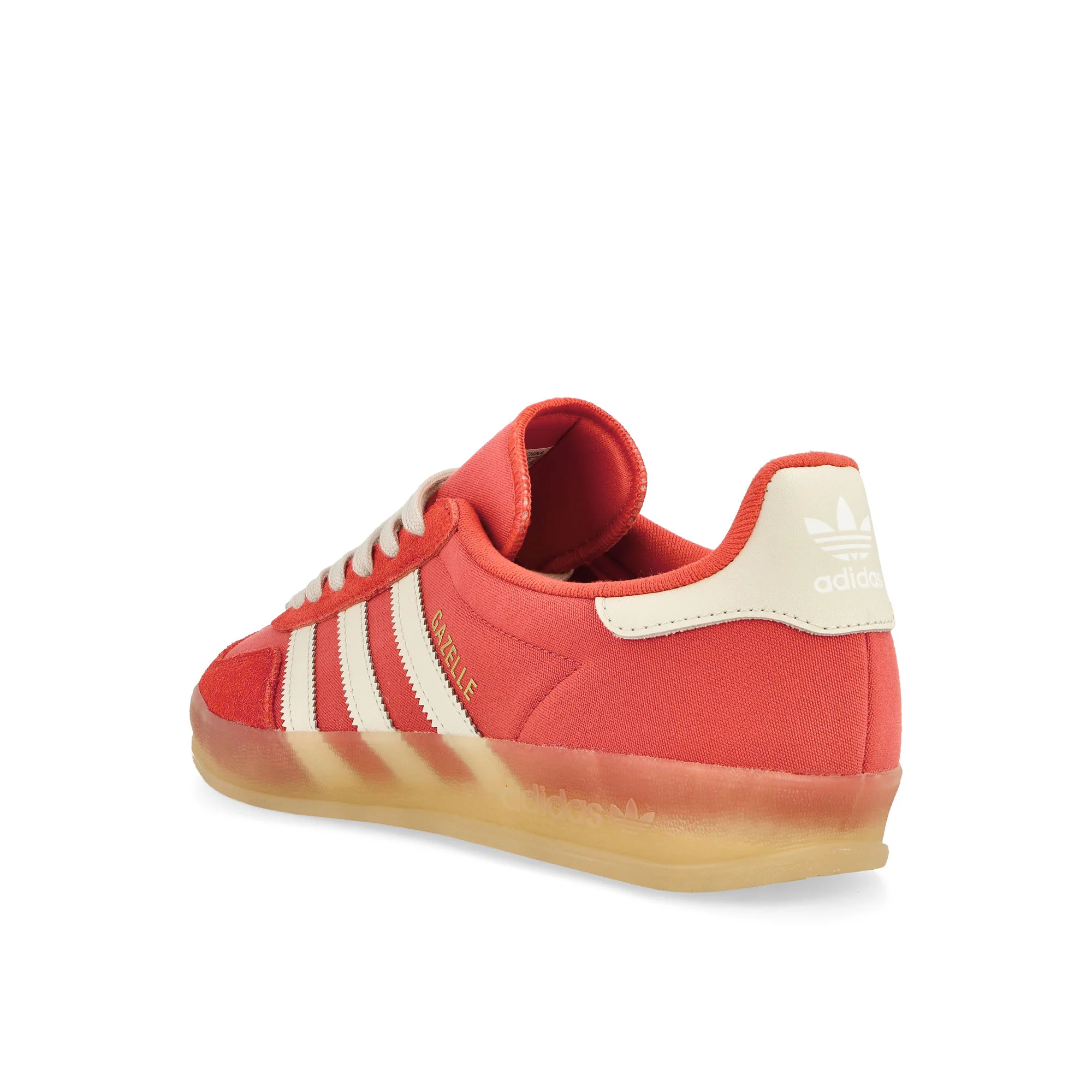 Gazelle Indoor - Image 3