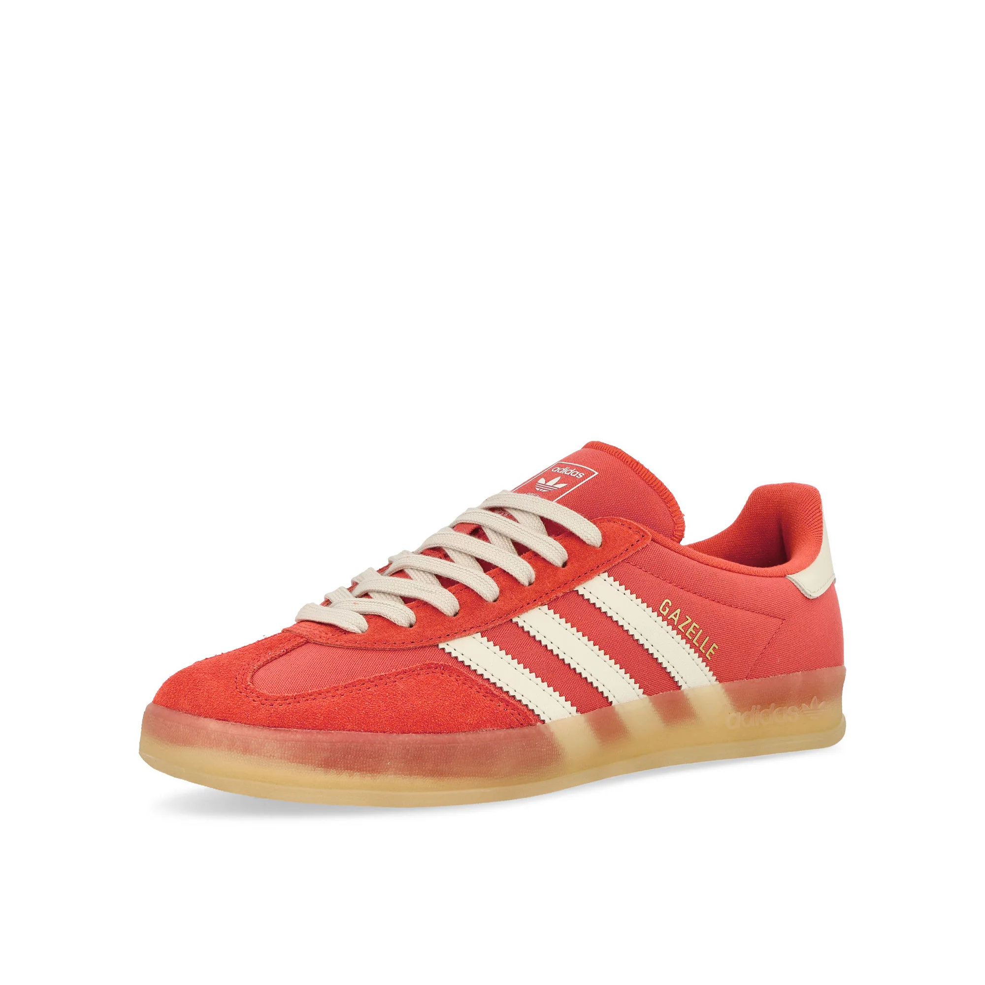 Gazelle Indoor - Image 4