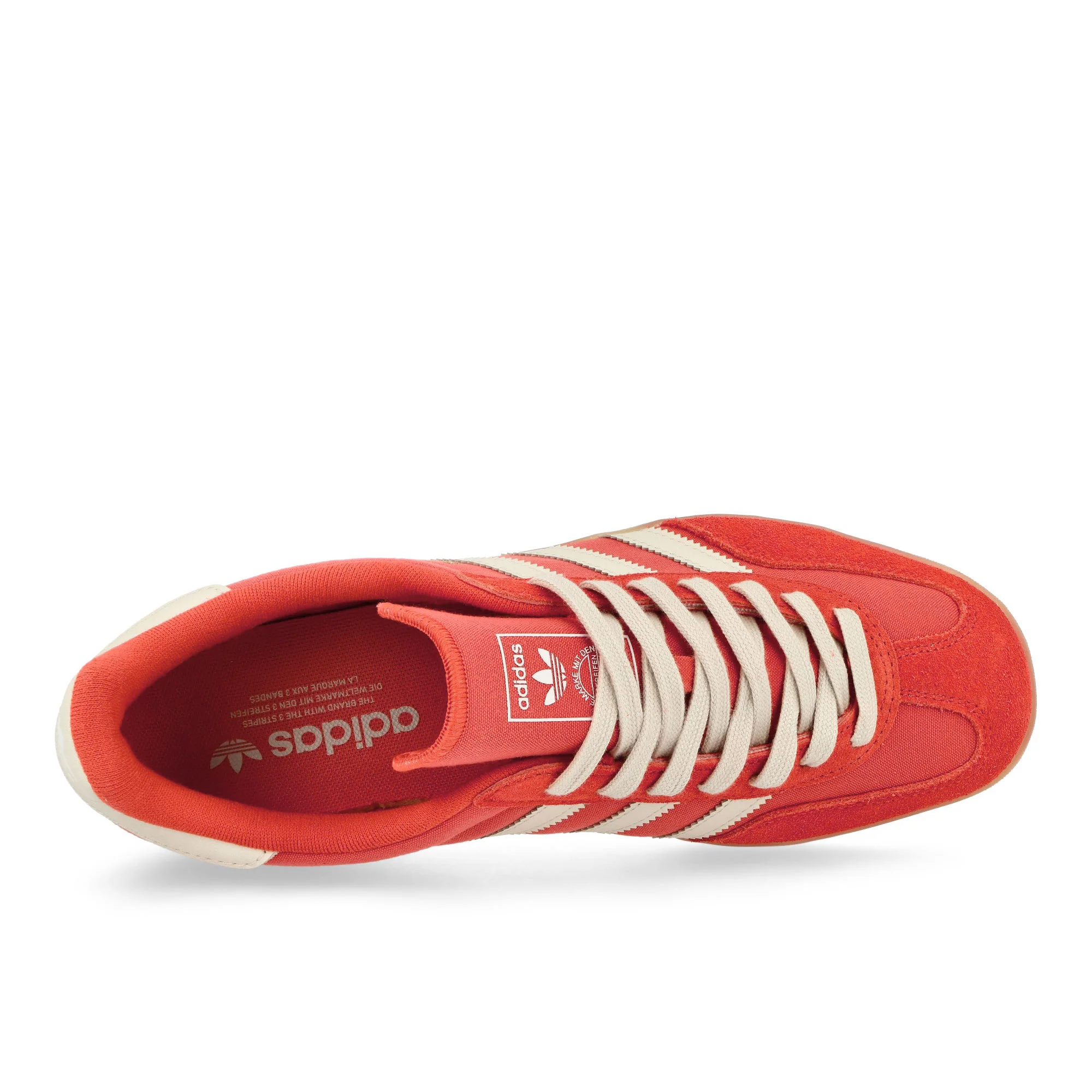 Gazelle Indoor - Image 5