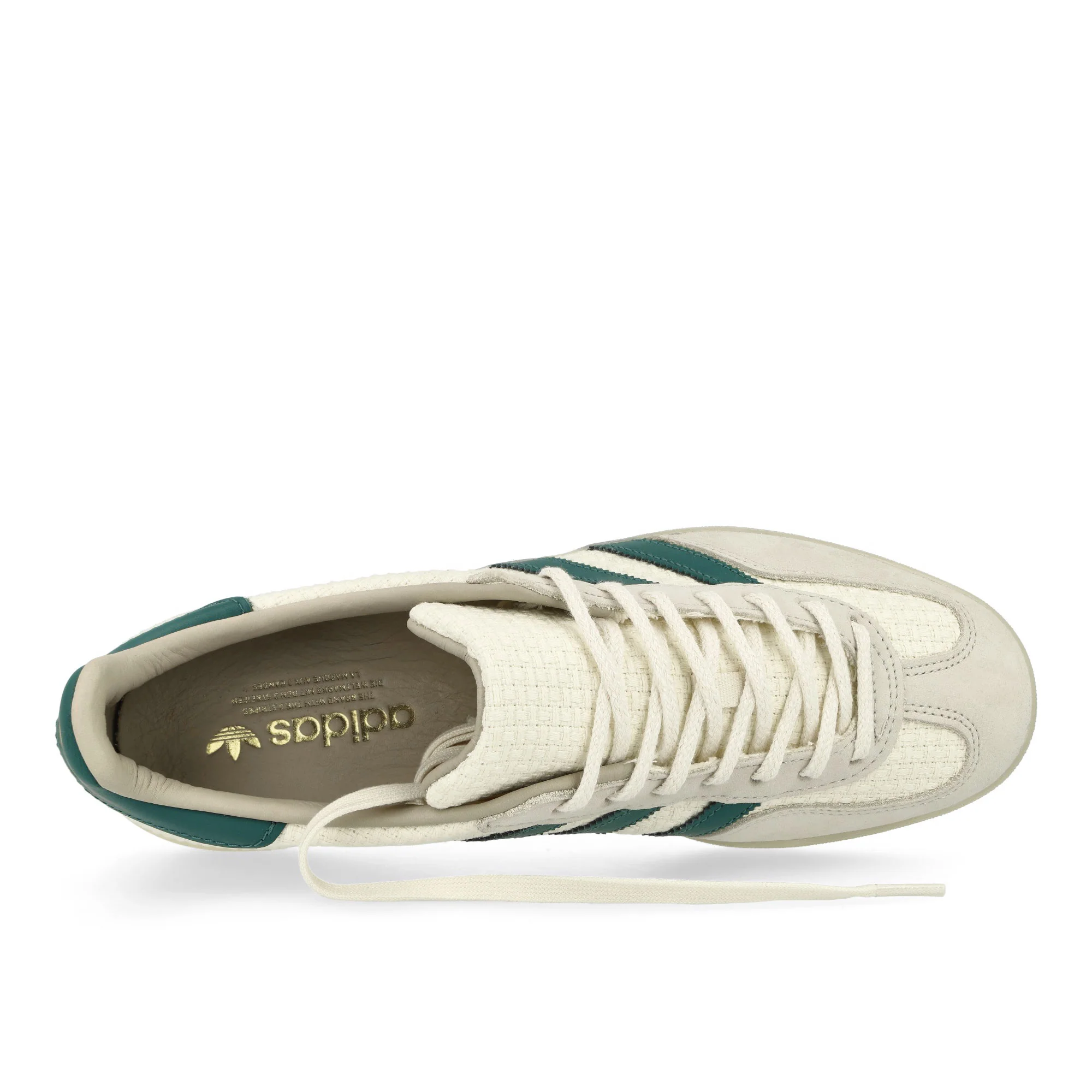 Gazelle Indoor - Image 5