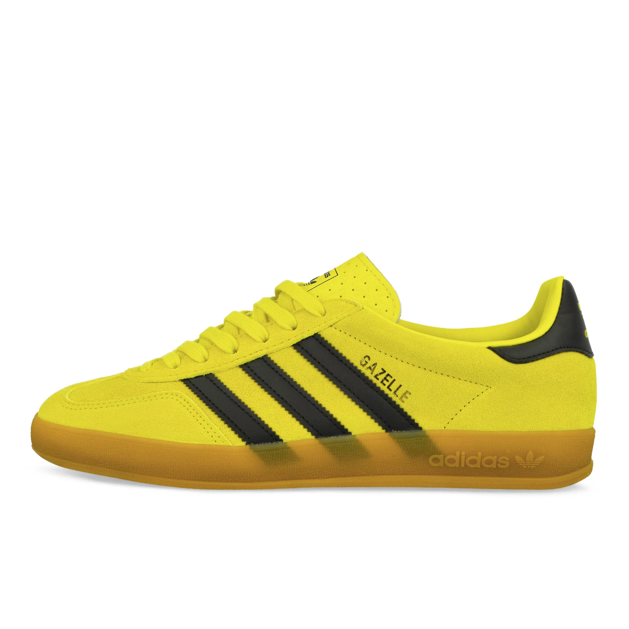 Gazelle Indoor