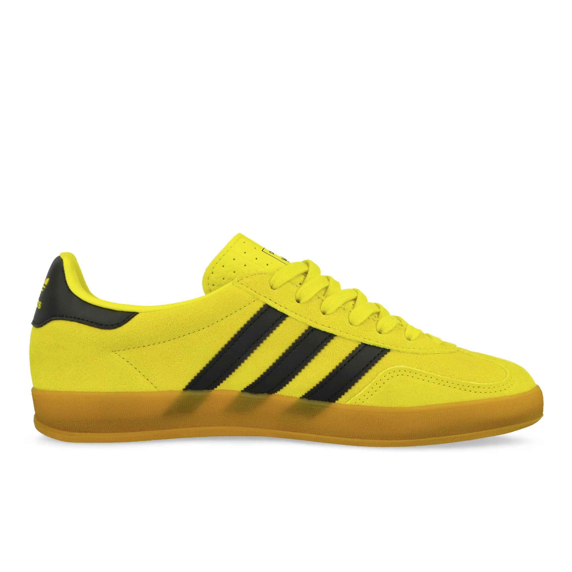Gazelle Indoor - Image 2
