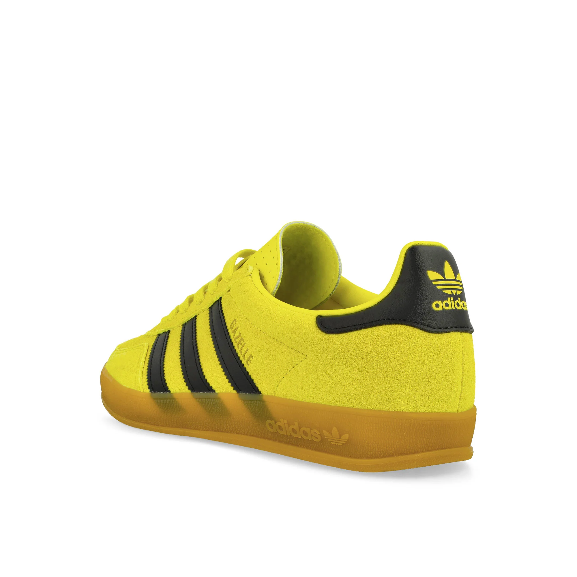 Gazelle Indoor - Image 3