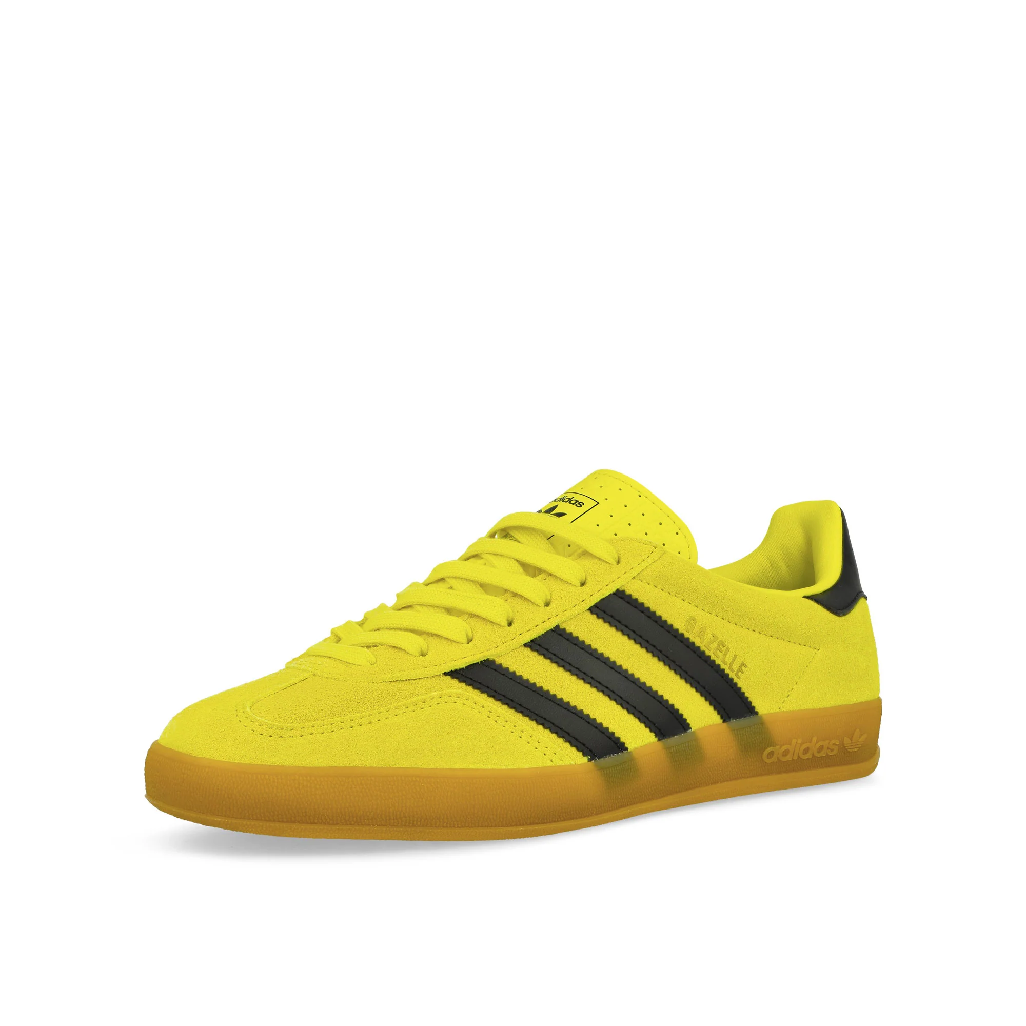 Gazelle Indoor - Image 4