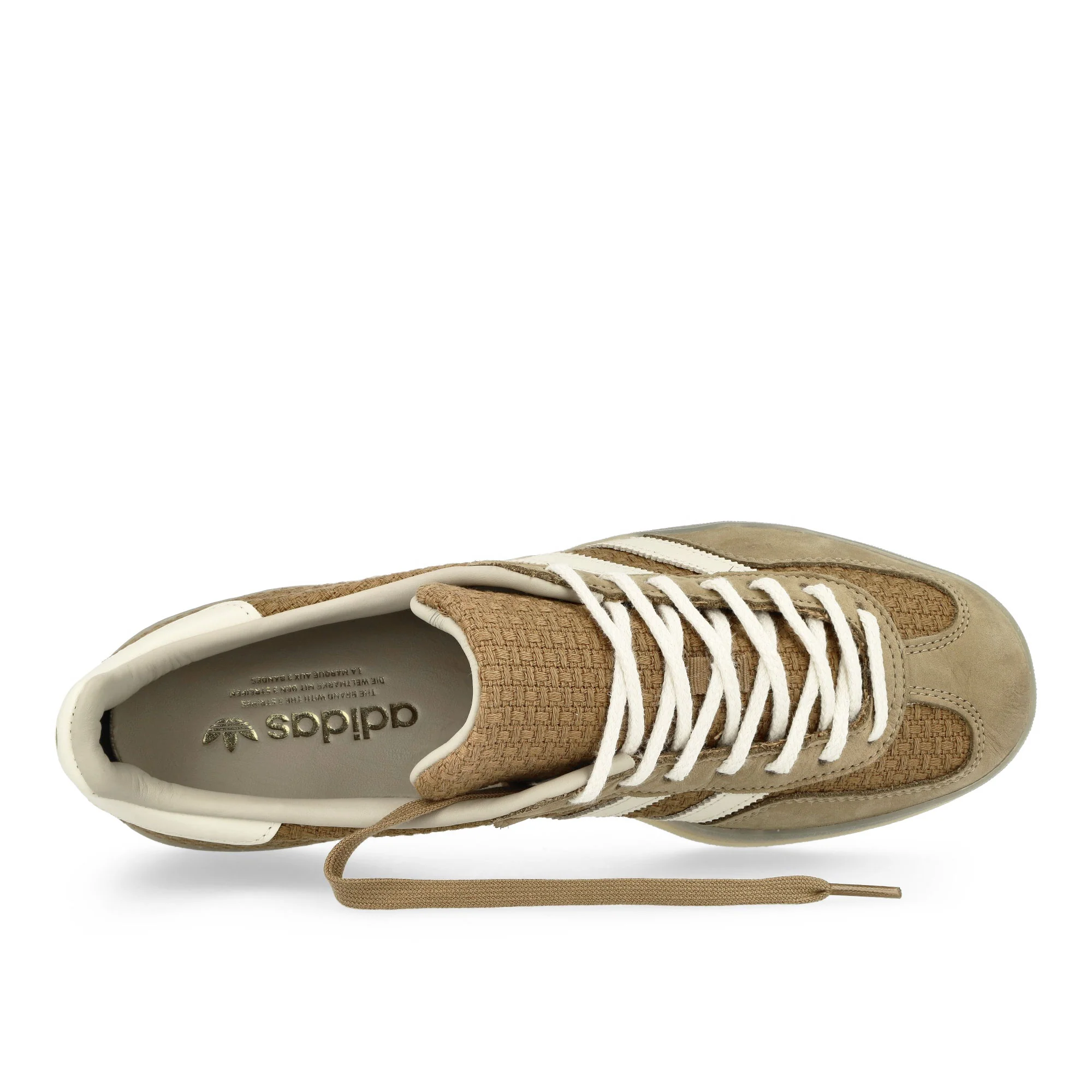 Gazelle Indoor - Image 5