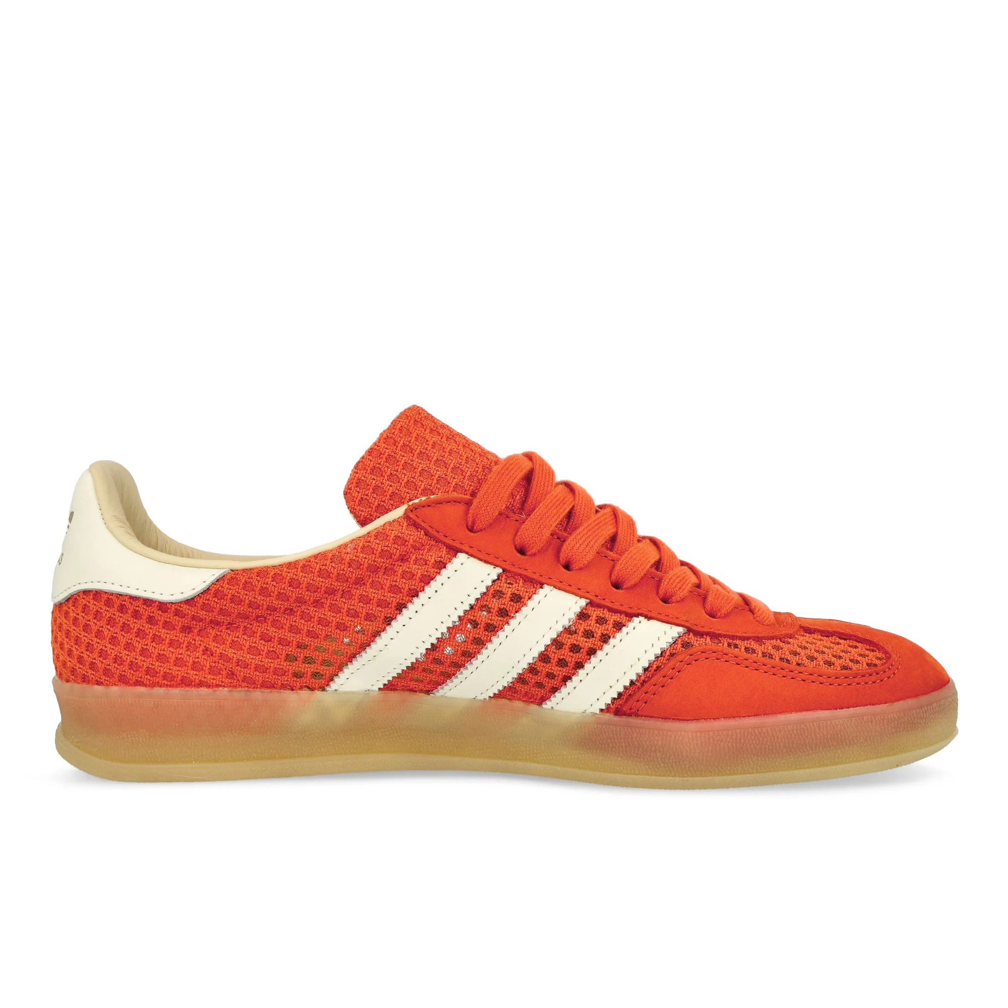 Gazelle Indoor - Image 2