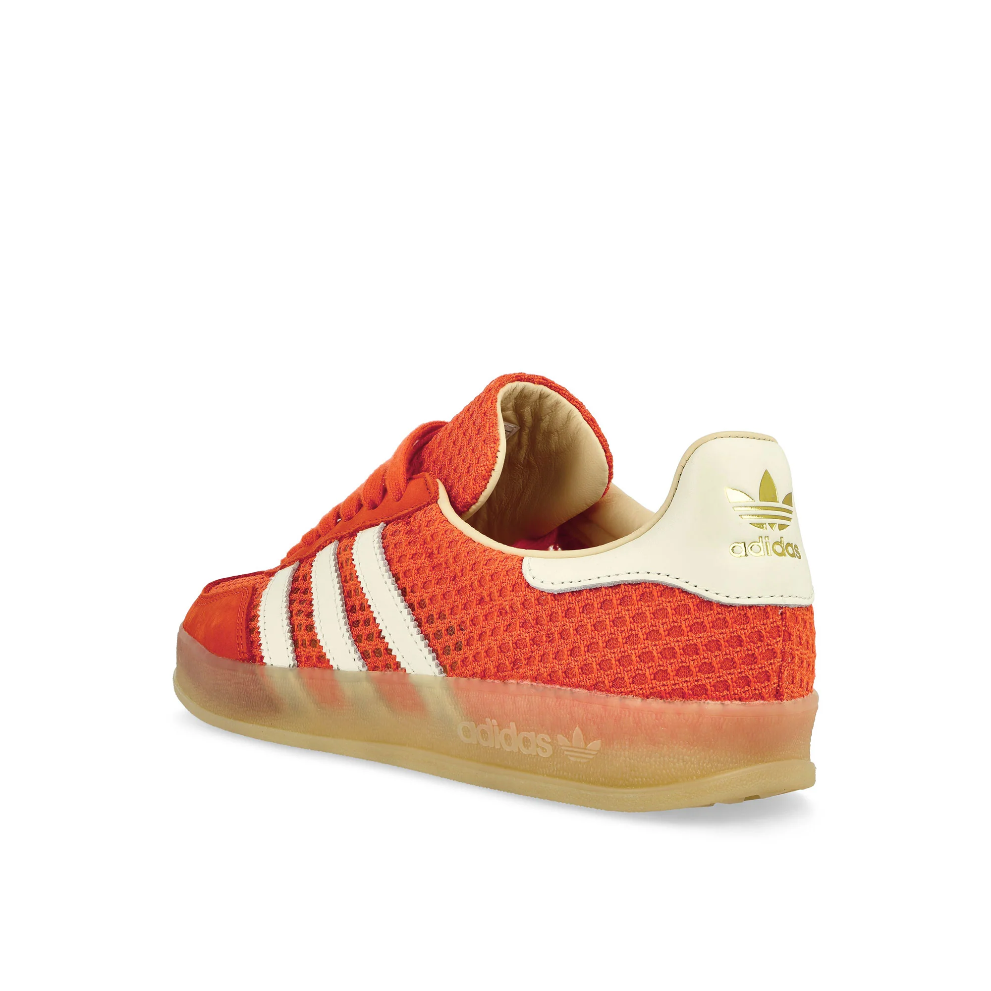 Gazelle Indoor - Image 3