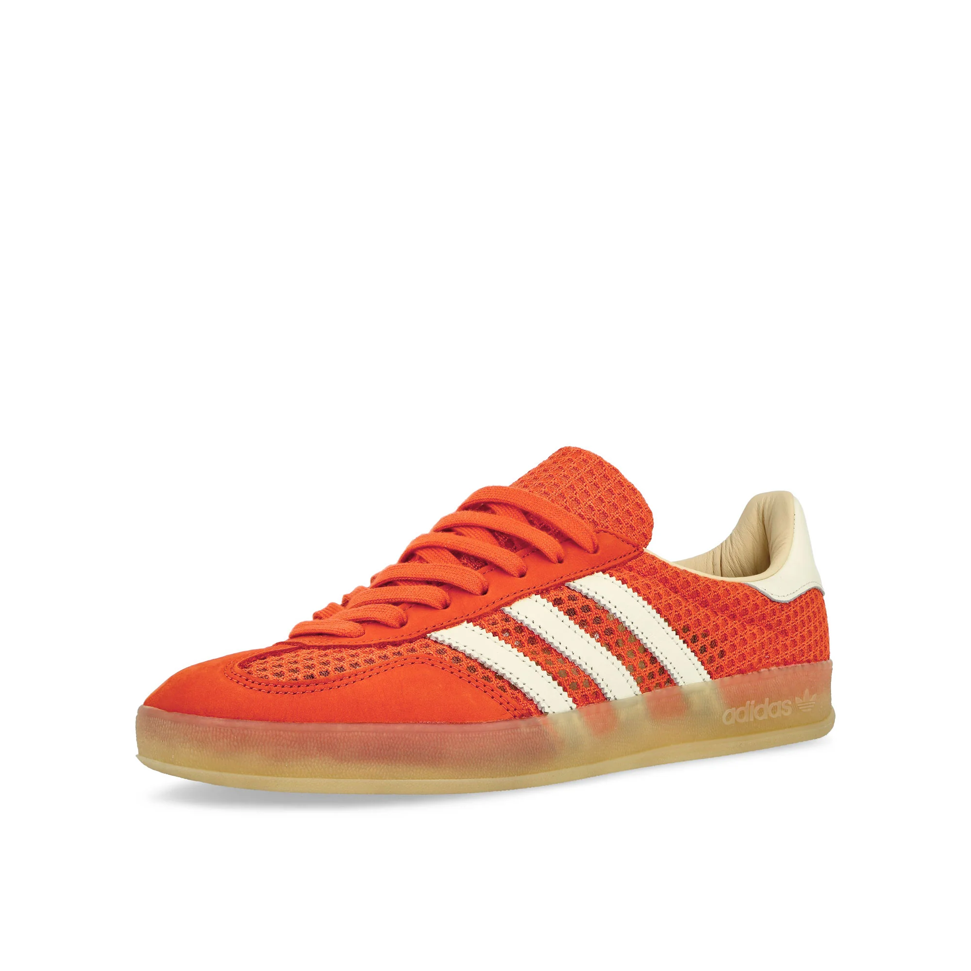 Gazelle Indoor - Image 4