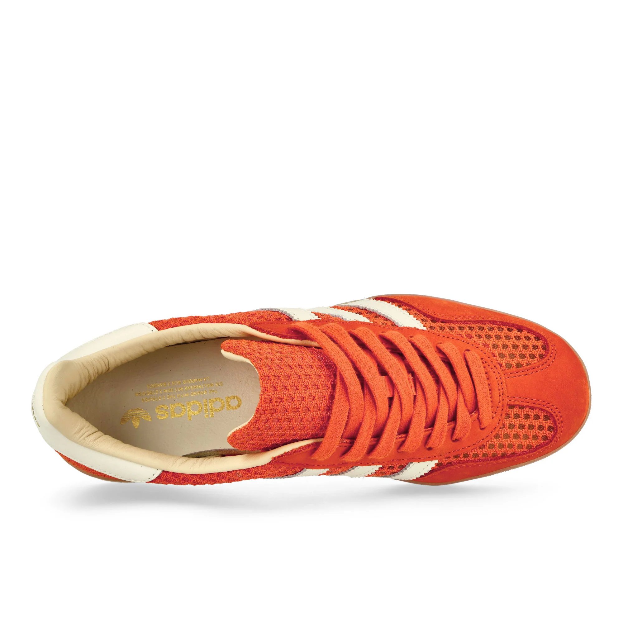 Gazelle Indoor - Image 5