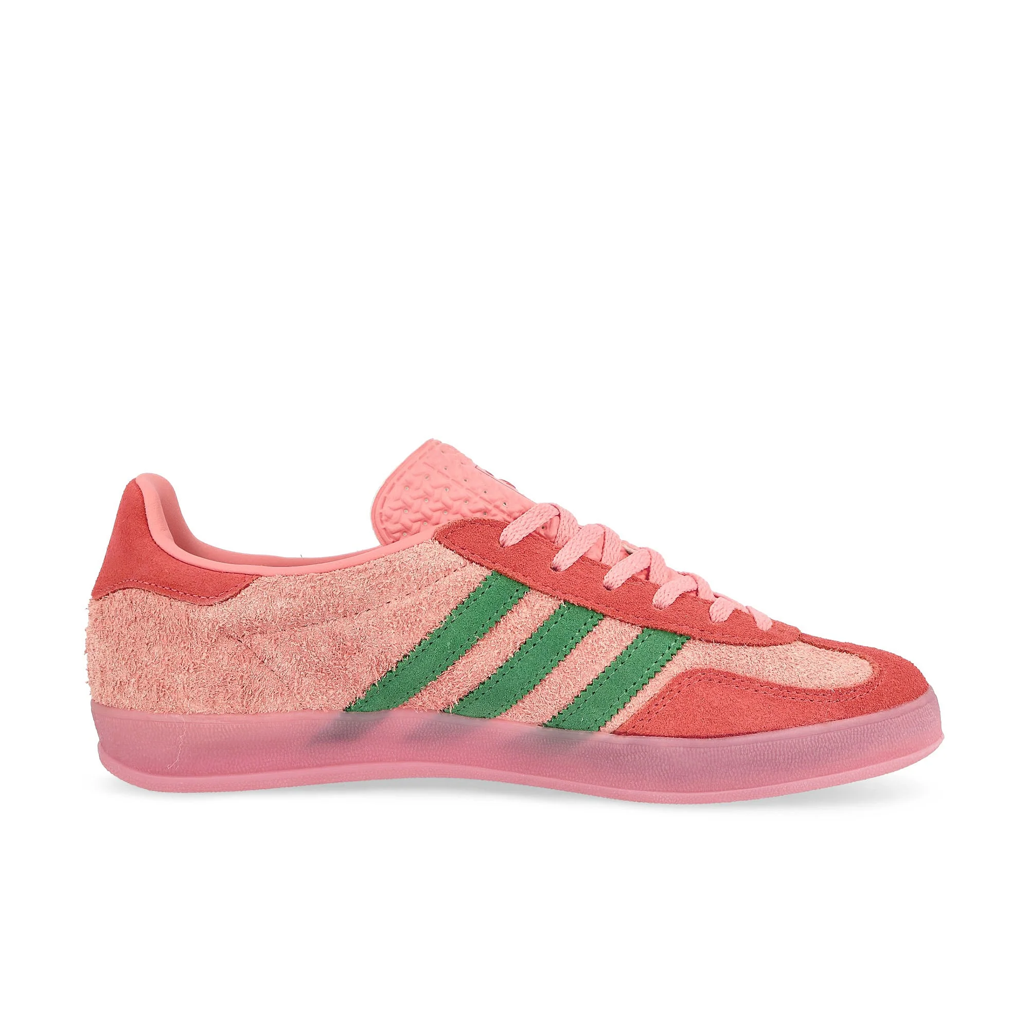 Gazelle Indoor W - Image 2