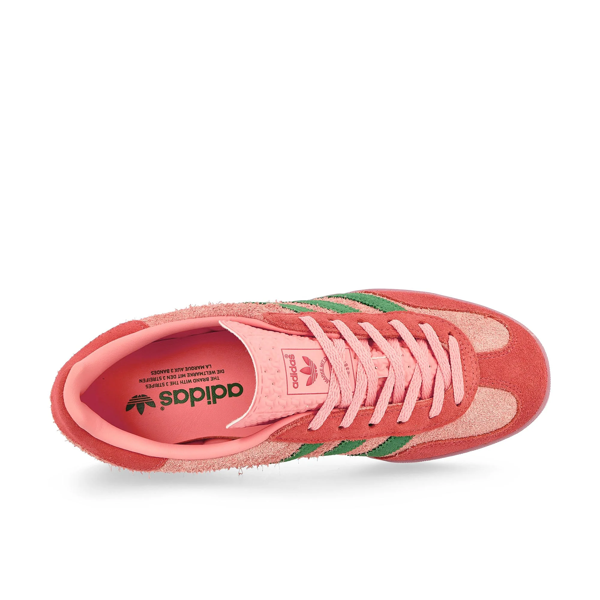 Gazelle Indoor W - Image 5
