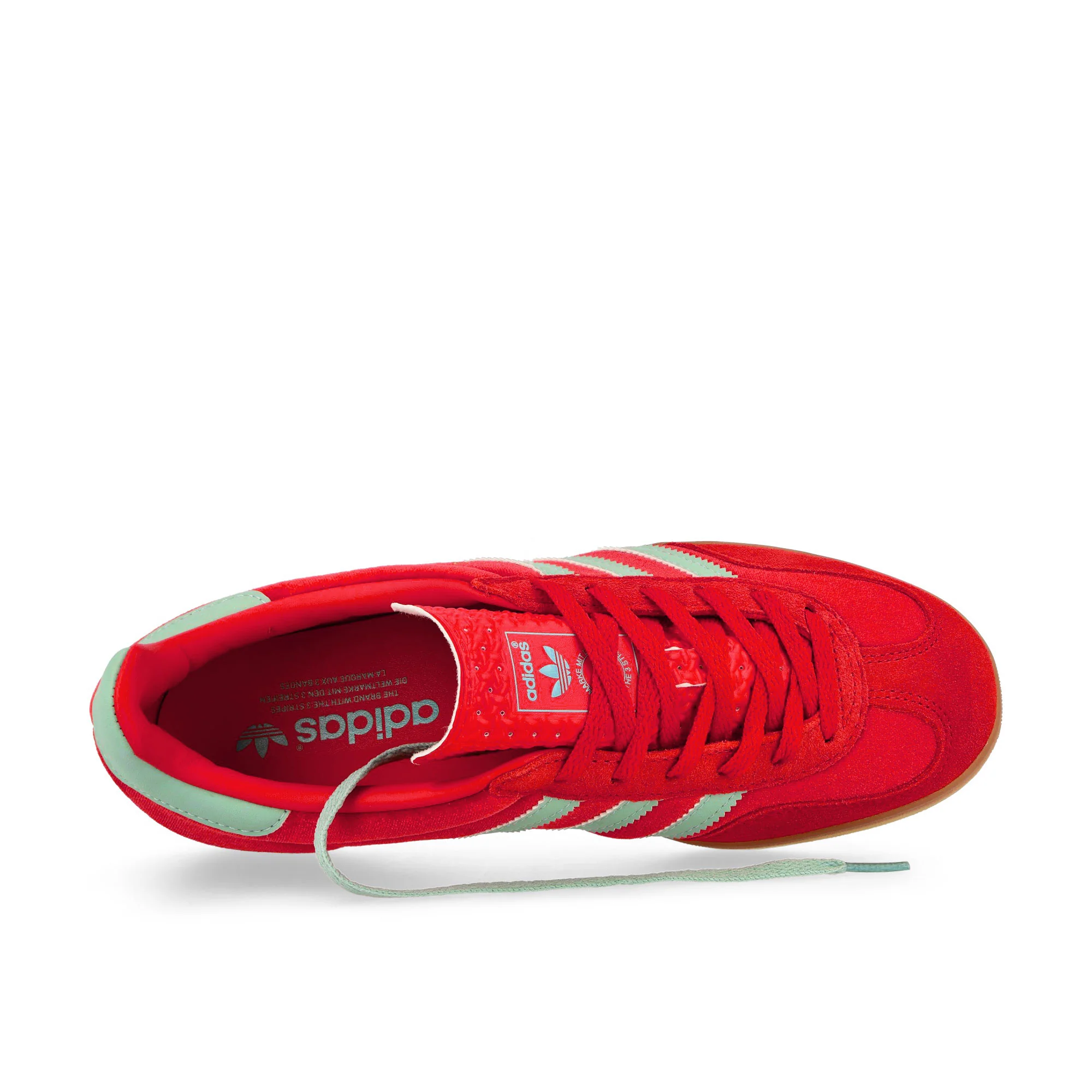 Gazelle Indoor W - Image 5