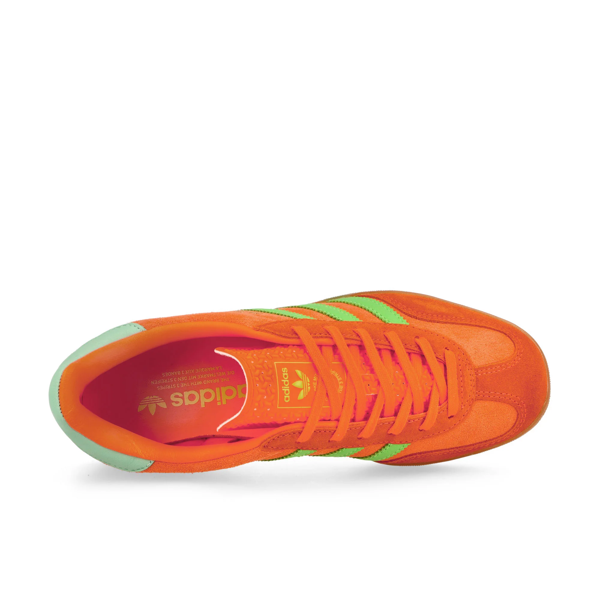 Gazelle Indoor W - Image 5