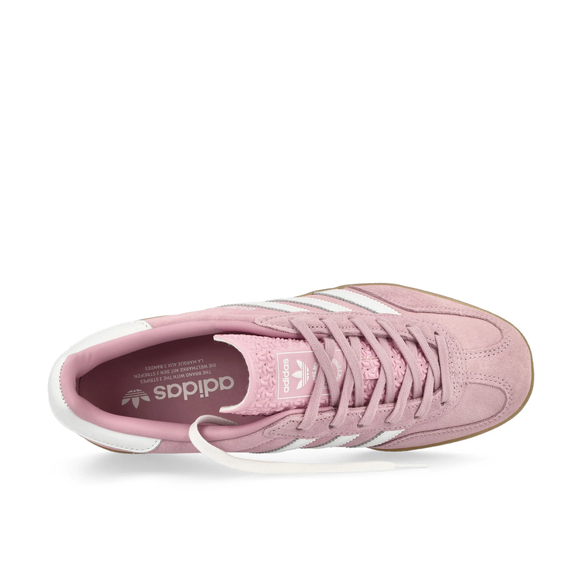 Gazelle Indoor W - Image 5