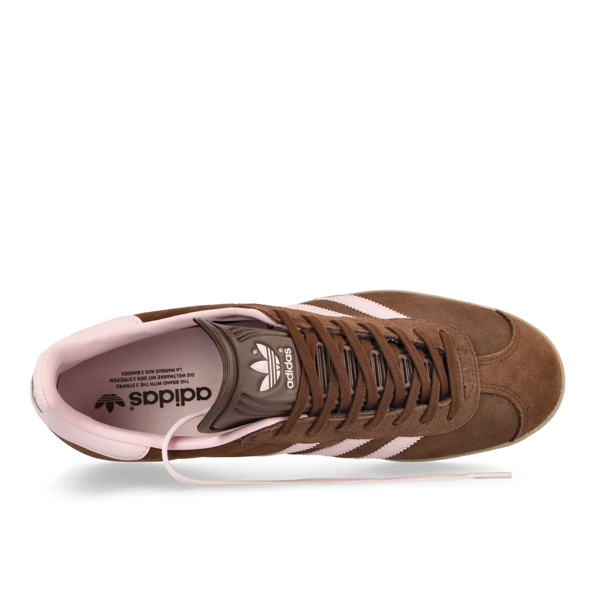Gazelle - Image 5