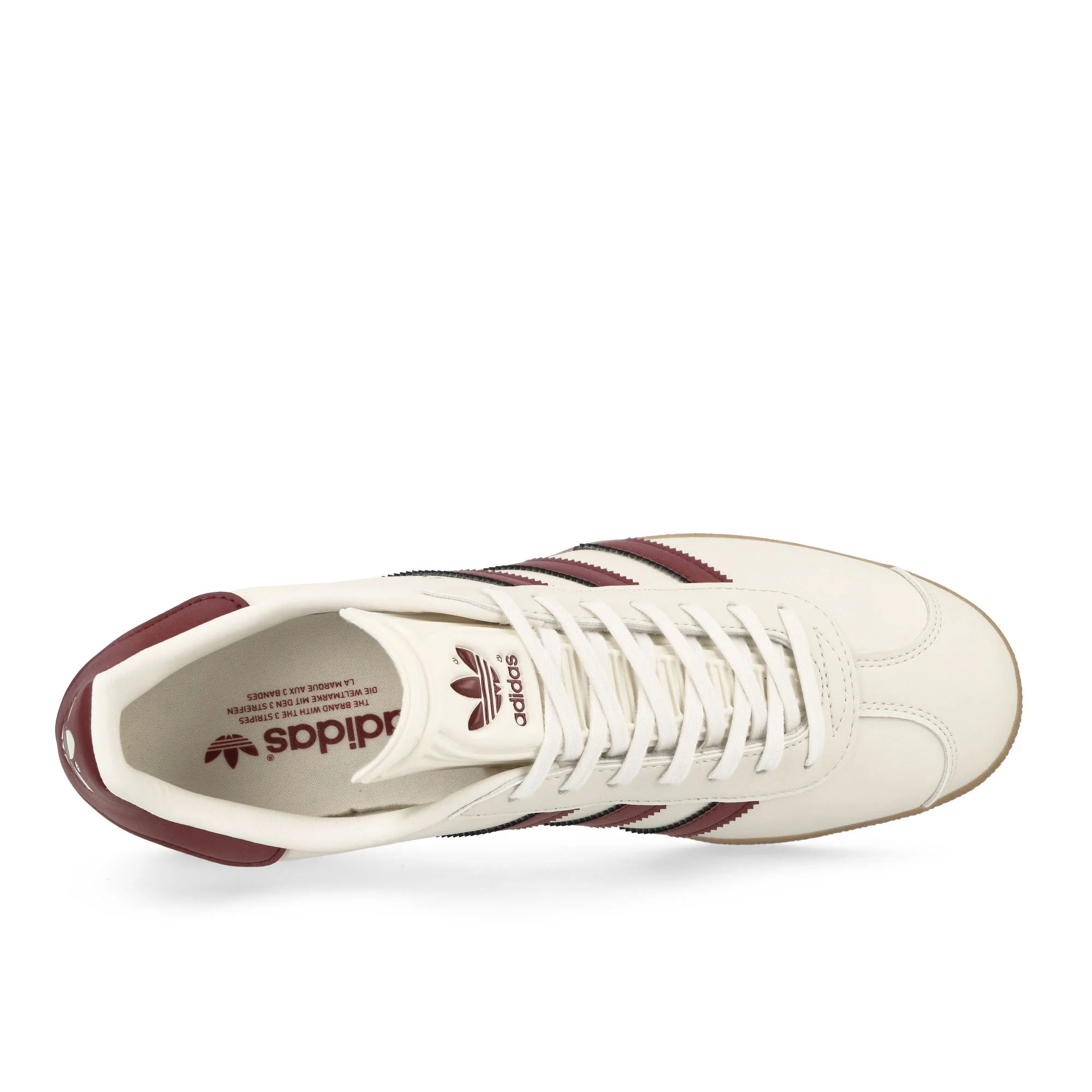 Gazelle - Image 5