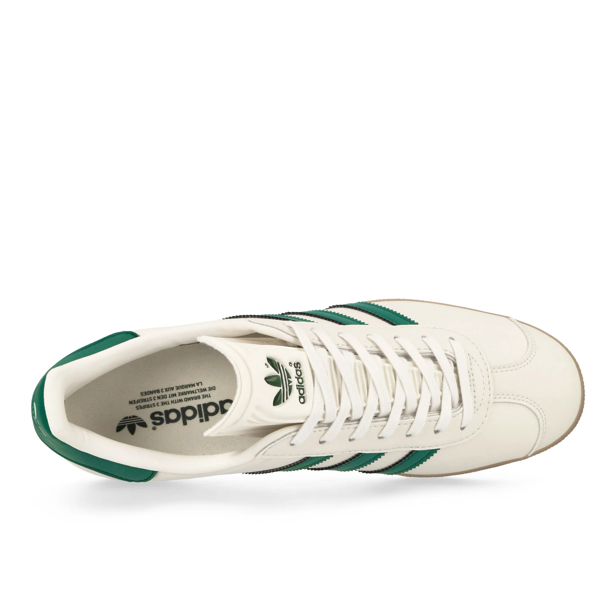 Gazelle - Image 5