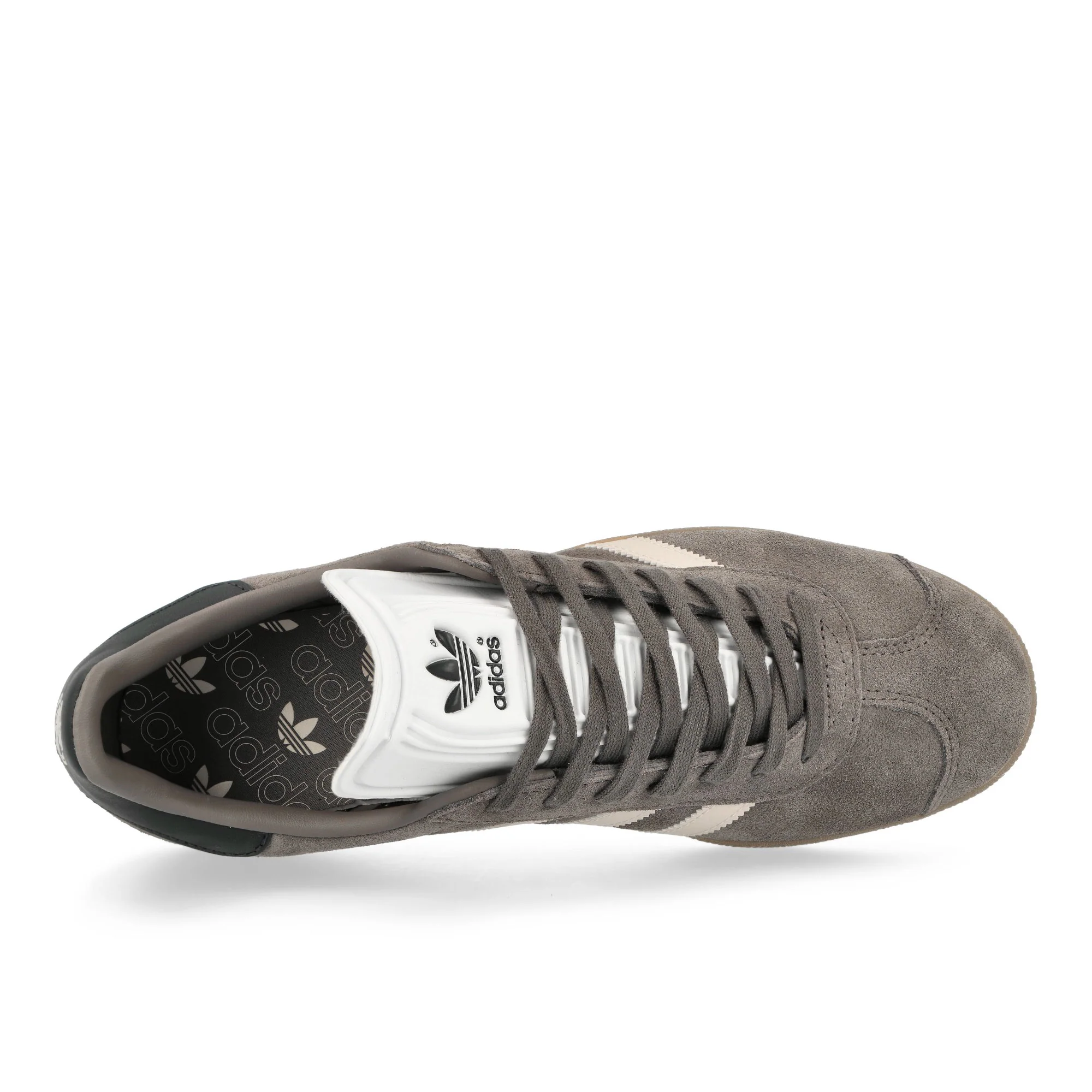 Gazelle Rekive - Image 5