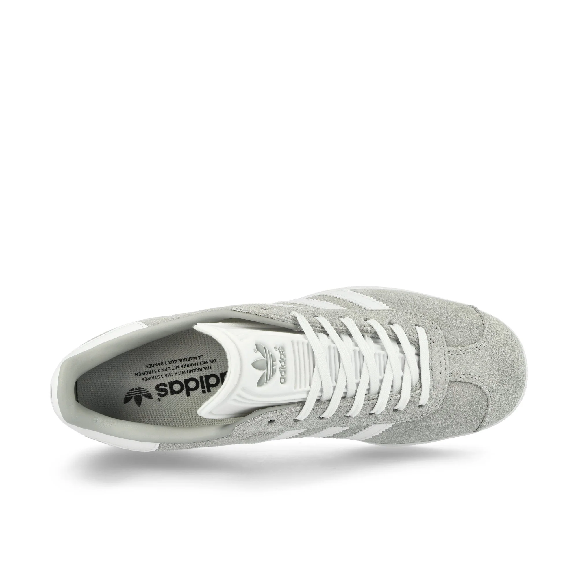 Gazelle W - Image 5