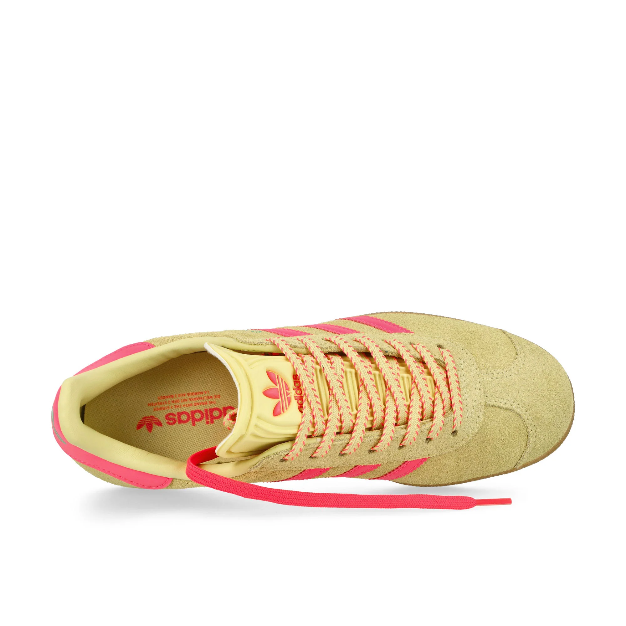Gazelle W - Image 5