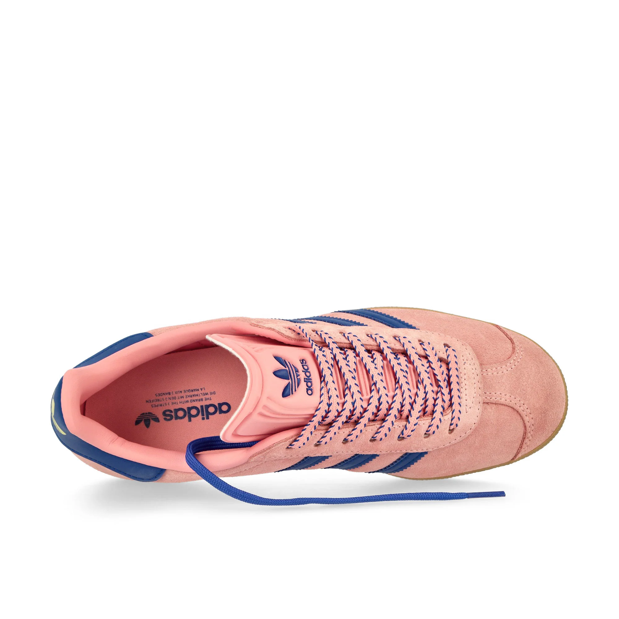 Gazelle W - Image 5