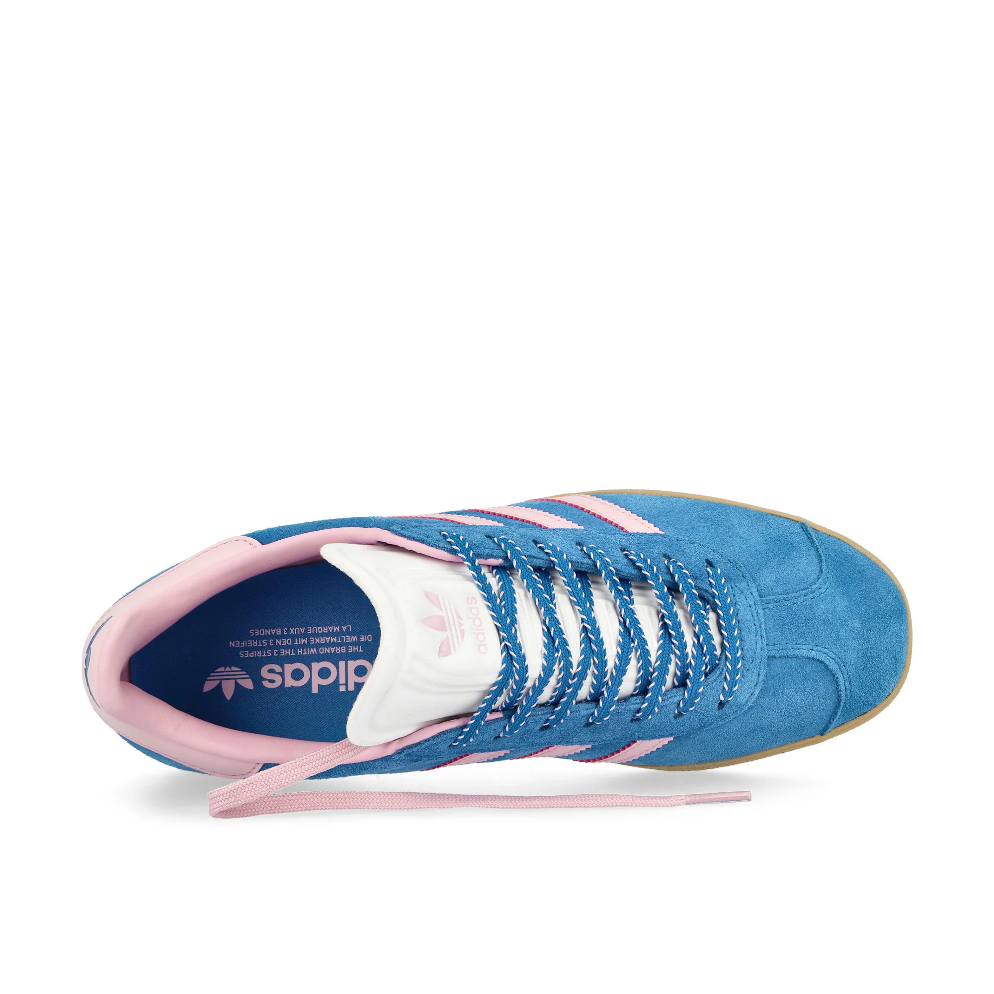 Gazelle W - Image 5