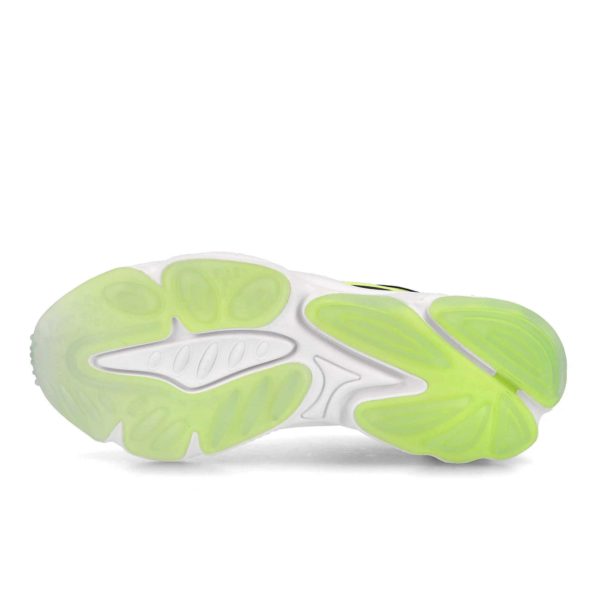 ozweego celox - Image 6