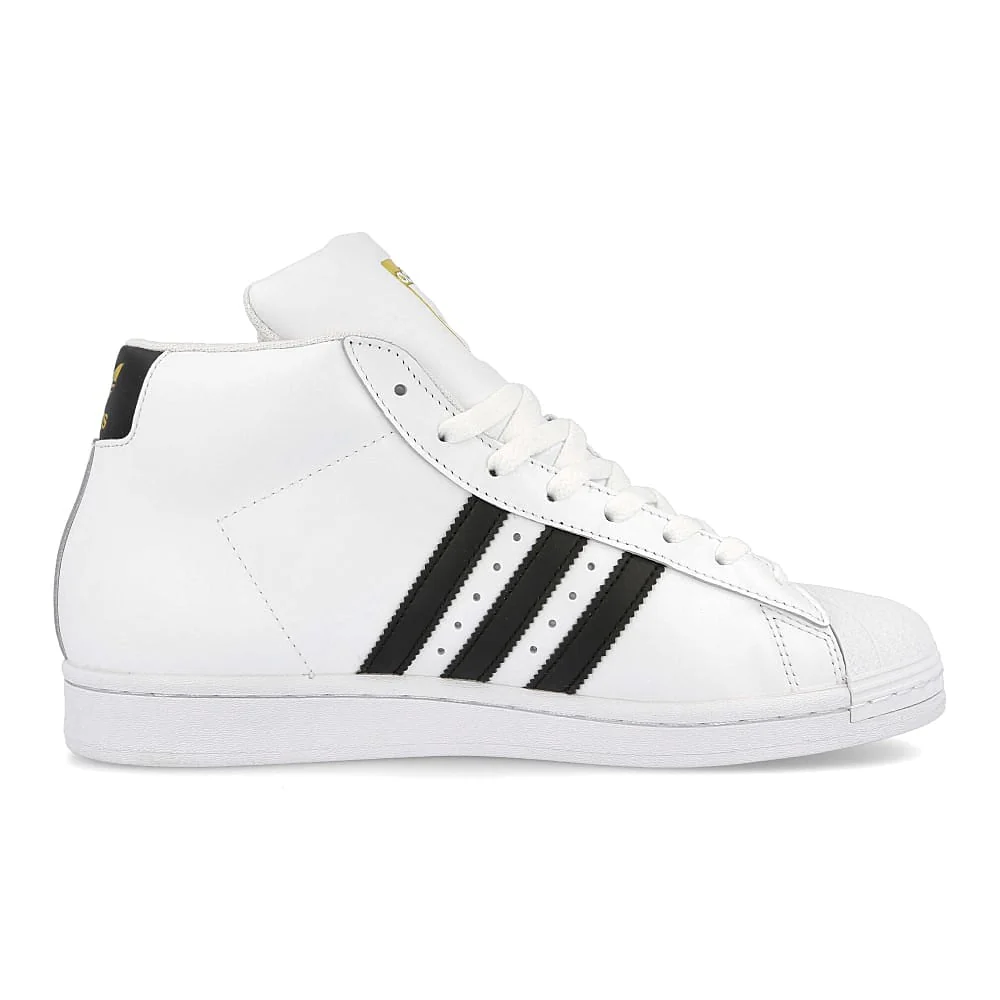 pro model - Image 2