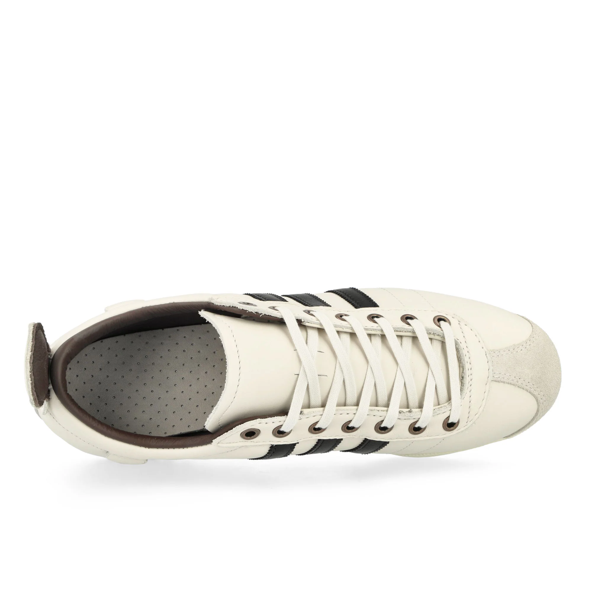 Samba 62 - Image 5